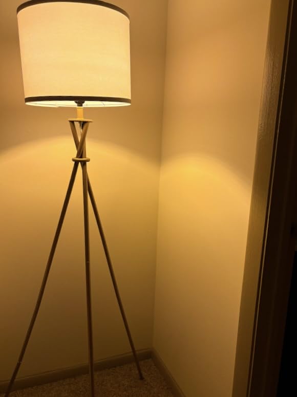 Philips LED Vintage Flicker-Free Amber Spiral A19, Dimmable, Eyecomfort Technology, 400 Lumen, Amber Light(2000K), 6.5W:60W, Title 20 Certified, E26 Base, 2-Pack (565796) customer photo 1