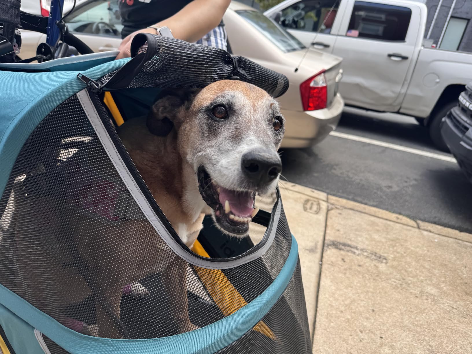 Petbobi Dog Stroller for Large Medium Dogs up to 80 lbs, Dual Entry | One-Hand Fold, One-Foot Brake, All Terrain 360 Swivel Front Wheel, Heavy Duty Air Mesh Wagon, Low Step-In for Senior Pets customer photo 1