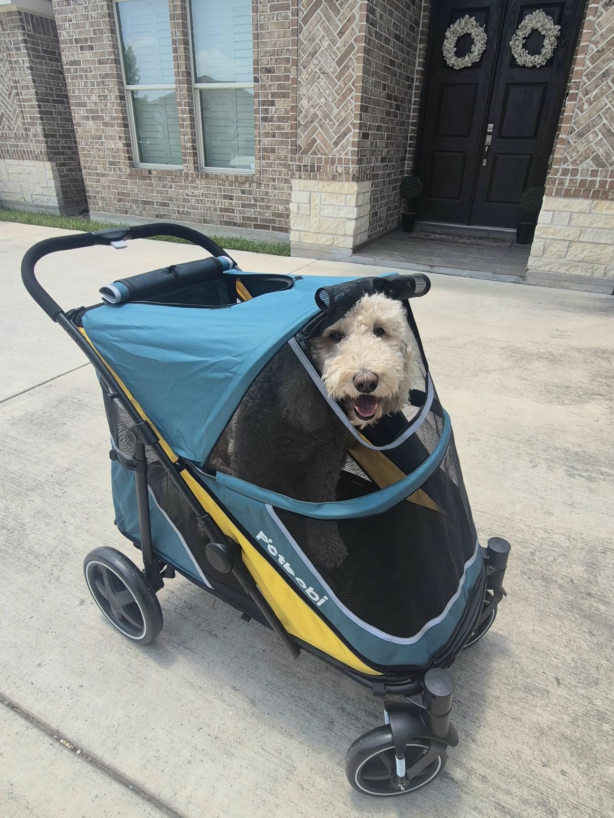 Petbobi Dog Stroller for Large Medium Dogs up to 80 lbs, Dual Entry | One-Hand Fold, One-Foot Brake, All Terrain 360 Swivel Front Wheel, Heavy Duty Air Mesh Wagon, Low Step-In for Senior Pets customer photo 2