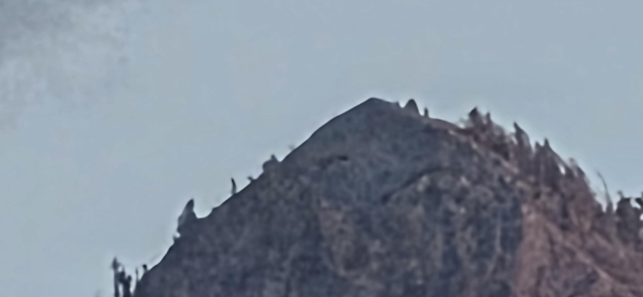 Canon RF200-800mm F6.3-9 IS USM Super-Telephoto Zoom Lens for Wildlife, Nature, Outdoor Sports customer photo 2