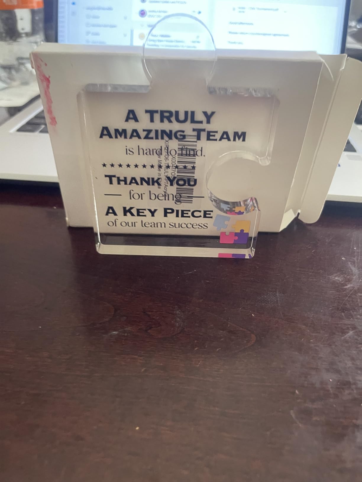 Panelee Acrylic Appreciation Sign Office Thank You Gifts, Veterinarian | Motivational Desk Decor for Veterinarian, Coworker Farewell Thank You Gift, Clear Table Sign for Men Women customer photo 2