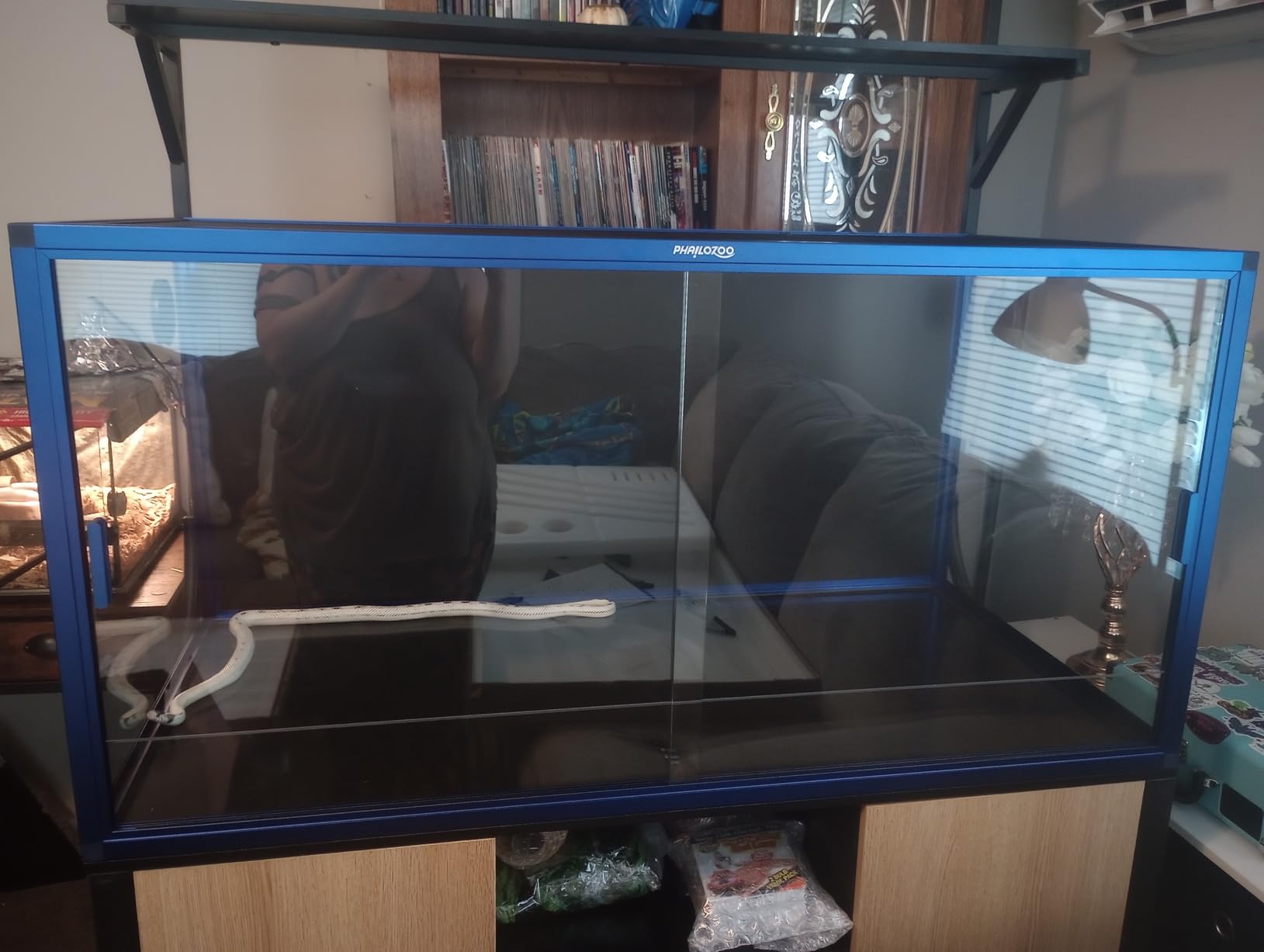 Phailozoo Stackable 50 Gallon Reptile Enclosure for Gecko, Juvenile Reptile | Adding Vibrant Fun for Your Home, Anti-fingerprint Tempered Glass Door with Handles Easy to Feed & Clean customer photo 1