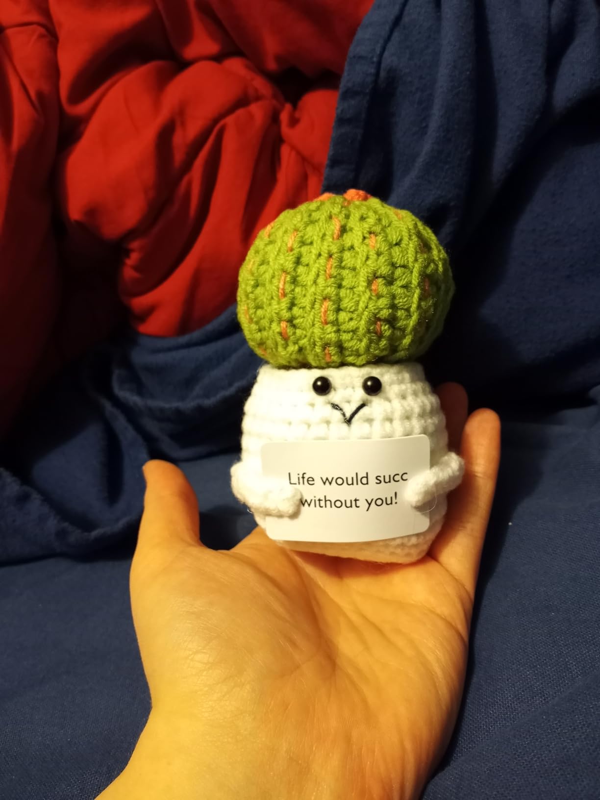 Hoedia Crochet Pickle Dolls Friend Birthday Easter Gifts for Her Women Wife Girlfriend Sister from Husband Men, Cute Funny Gifts for Coworkers Student Teacher Roommates (Pickle with Glasses) customer photo 1