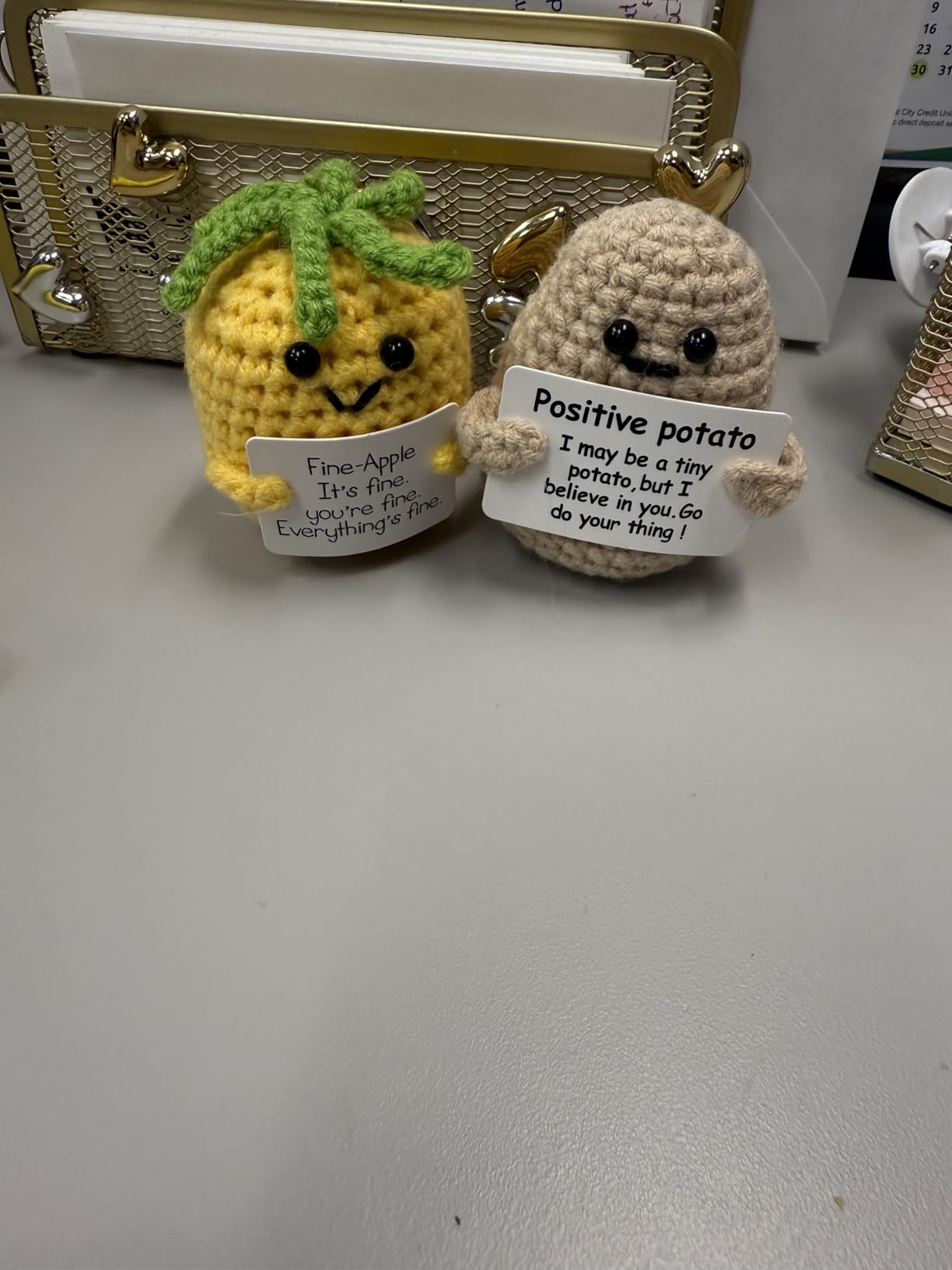 Hoedia Crochet Pickle Dolls Friend Birthday Easter Gifts for Her Women Wife Girlfriend Sister from Husband Men, Cute Funny Gifts for Coworkers Student Teacher Roommates (Pickle with Glasses) customer photo 2