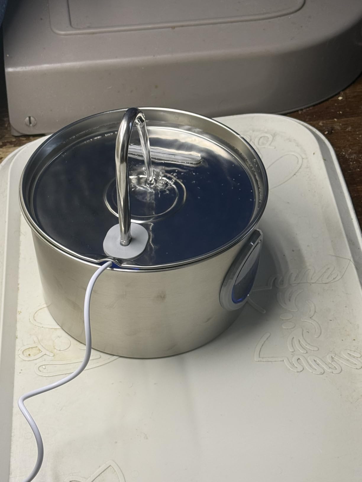 Cat Water Fountain Stainless Steel: 74oz/2.2L Cat Fountain for Drinking | Pet Water Fountain for Cats Inside - Quiet Cats Water Bowl Dispenser - Kitty Drinking Fountains - for Pets& Small Animals customer photo 2