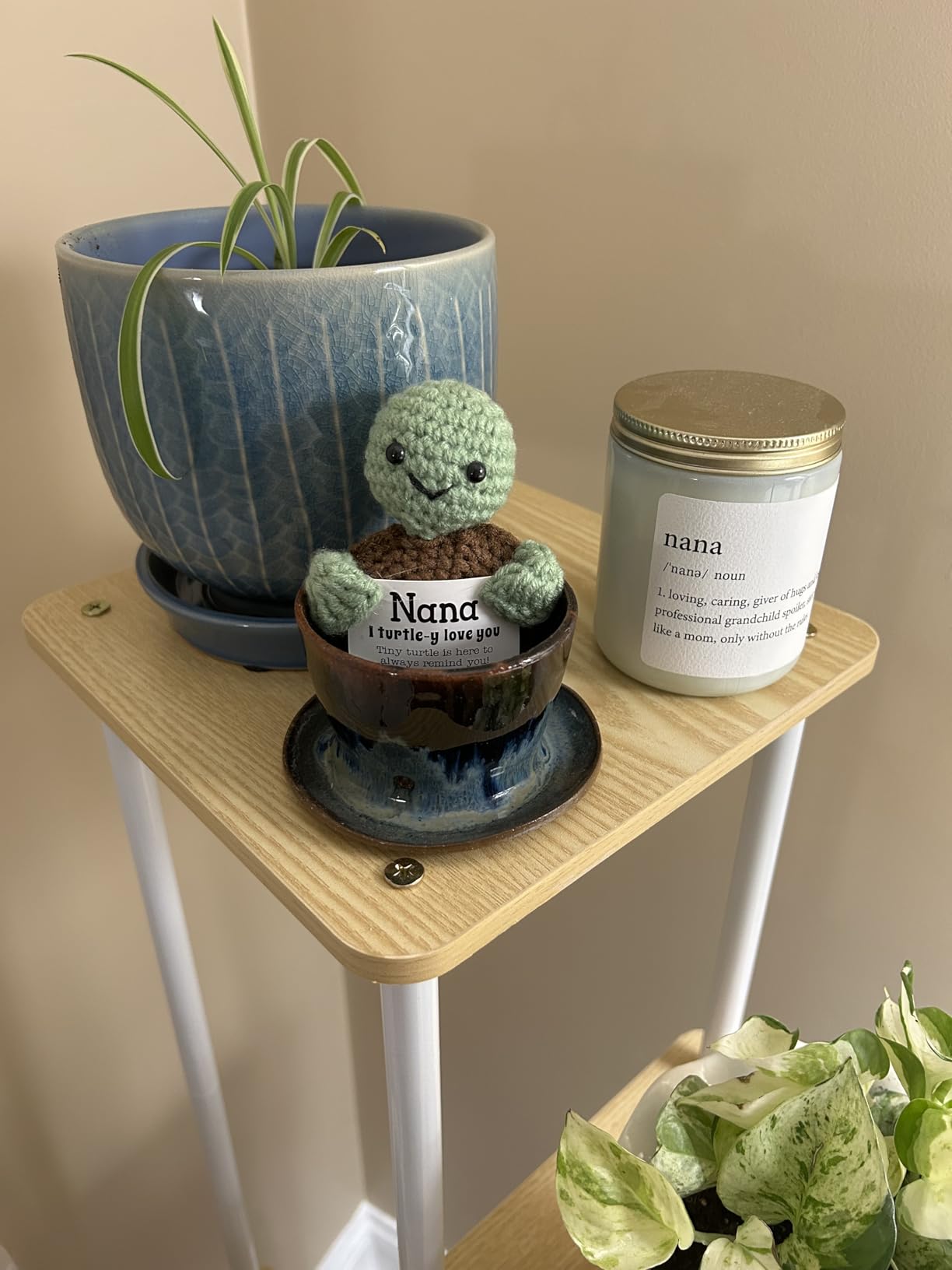 4THFARMES Mini Funny Turtle Brother Gifts from Sister - Handmade Emotional Positive Crochet Turtle customer photo 1