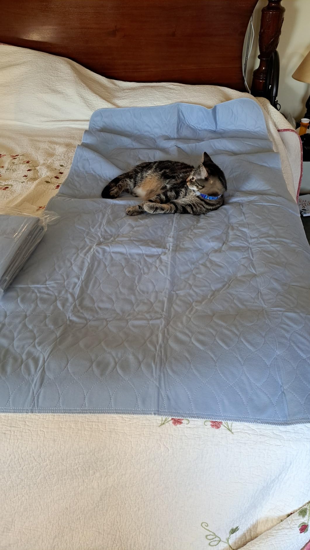 Washable Bed Pads 36