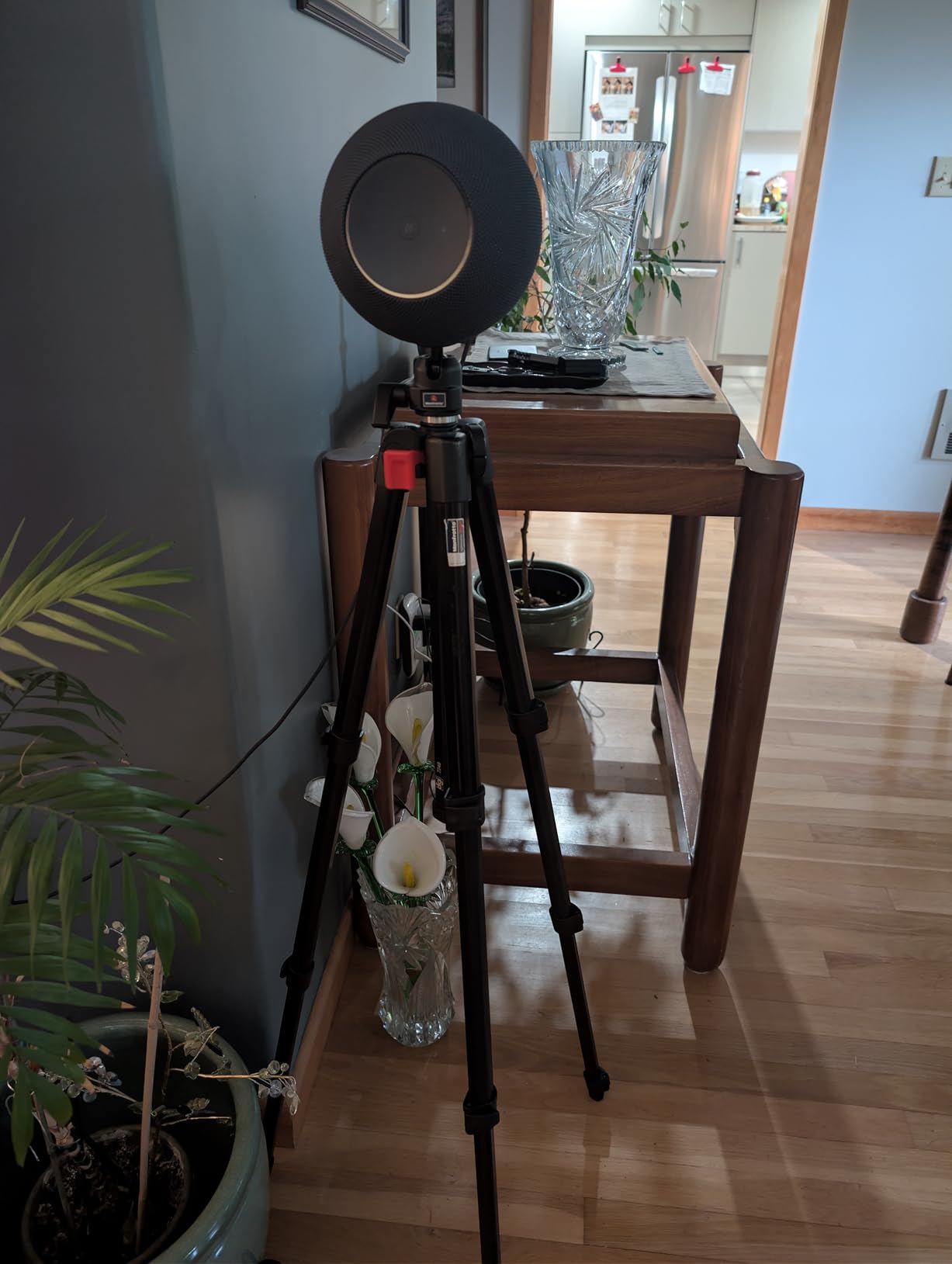 Echo Studio (newest model), Immersive spatial audio and Dolby Atmos, Designed for Alexa+, Graphite customer photo 1