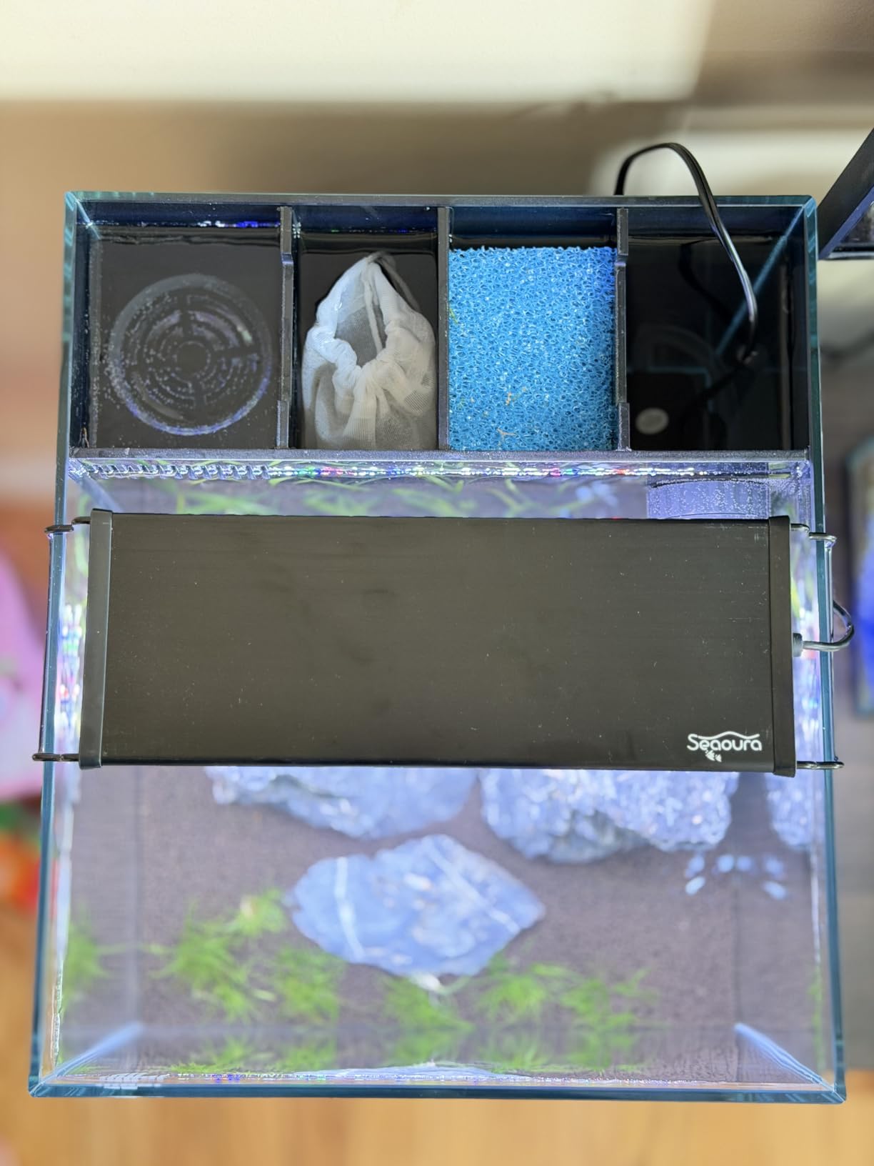 Coralland 8-Gallon Saltwater Aquarium - Ultra Clear Low Iron Glass customer photo 1