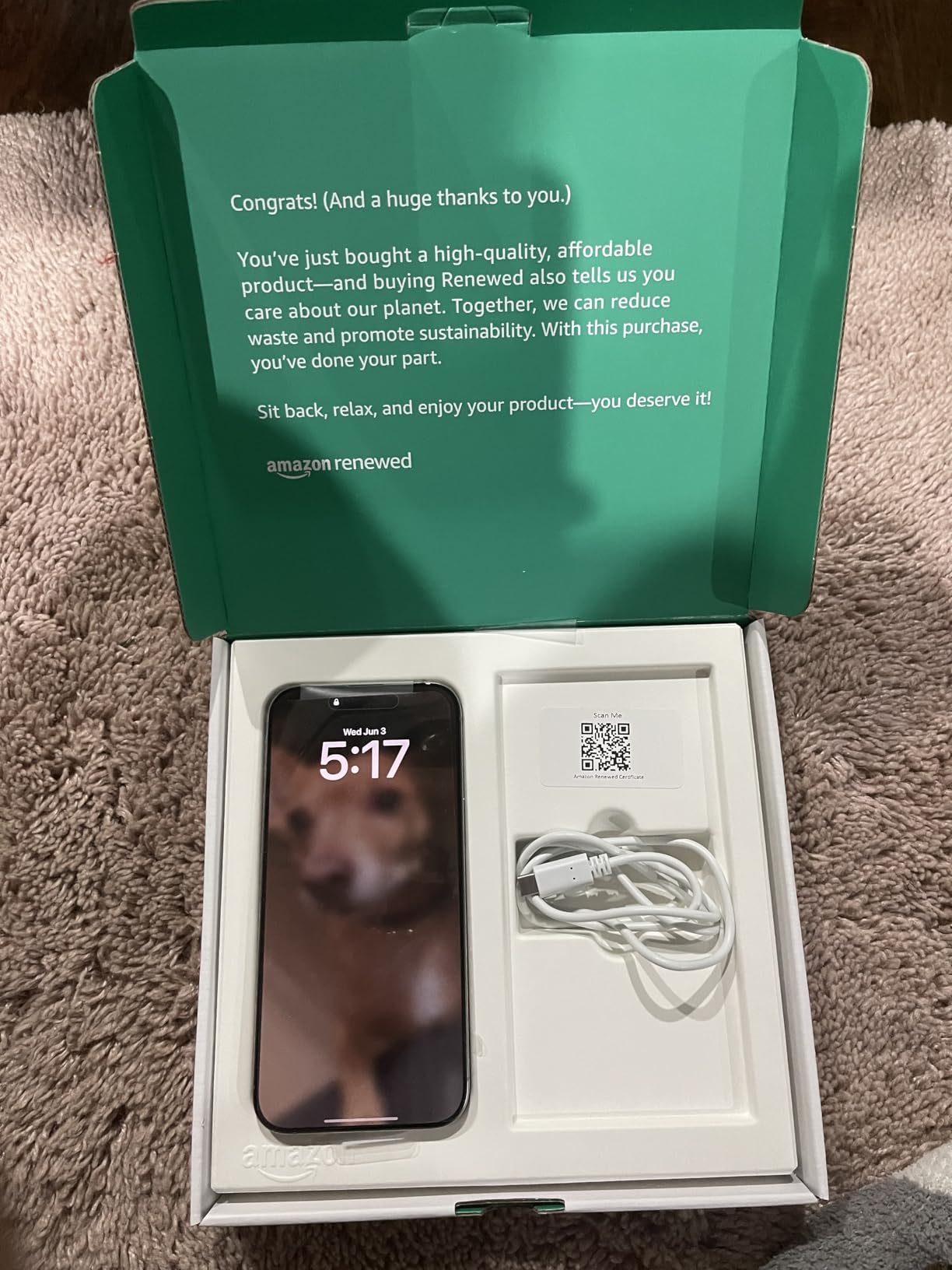 Apple iPhone (Renewed Premium) 16 Pro Max, US Version, 256GB, Natural Titanium - Unlocked customer photo 1