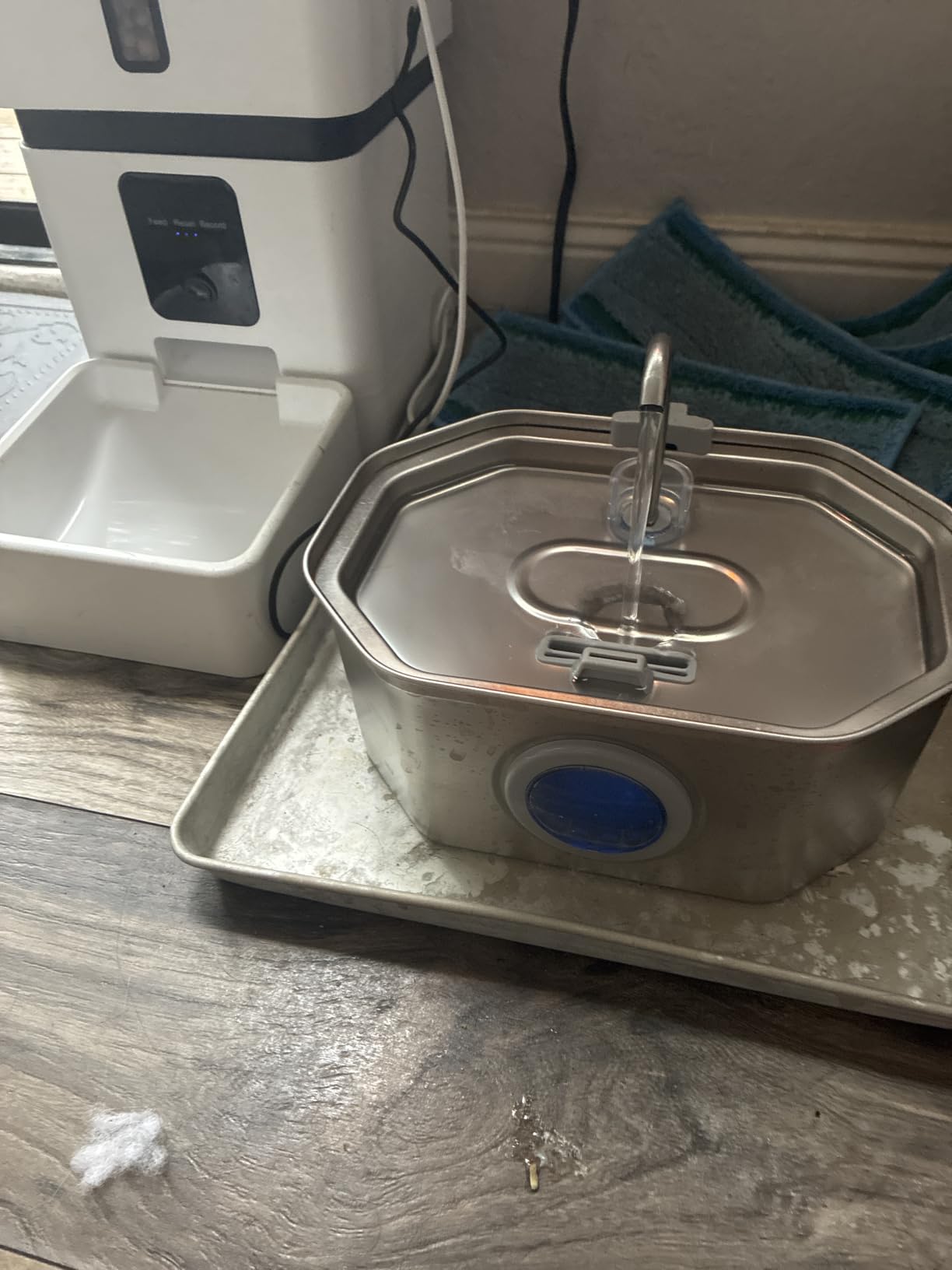APAUK Cat Water Fountain Stainless Steel, Pet Water Fountain 108oz/3.2L | Large Capacity, Ultra Quiet Pump, Switchable Blue Light for Cats and Small Dogs, Includes 2 Filters & 2 Sponges customer photo 1