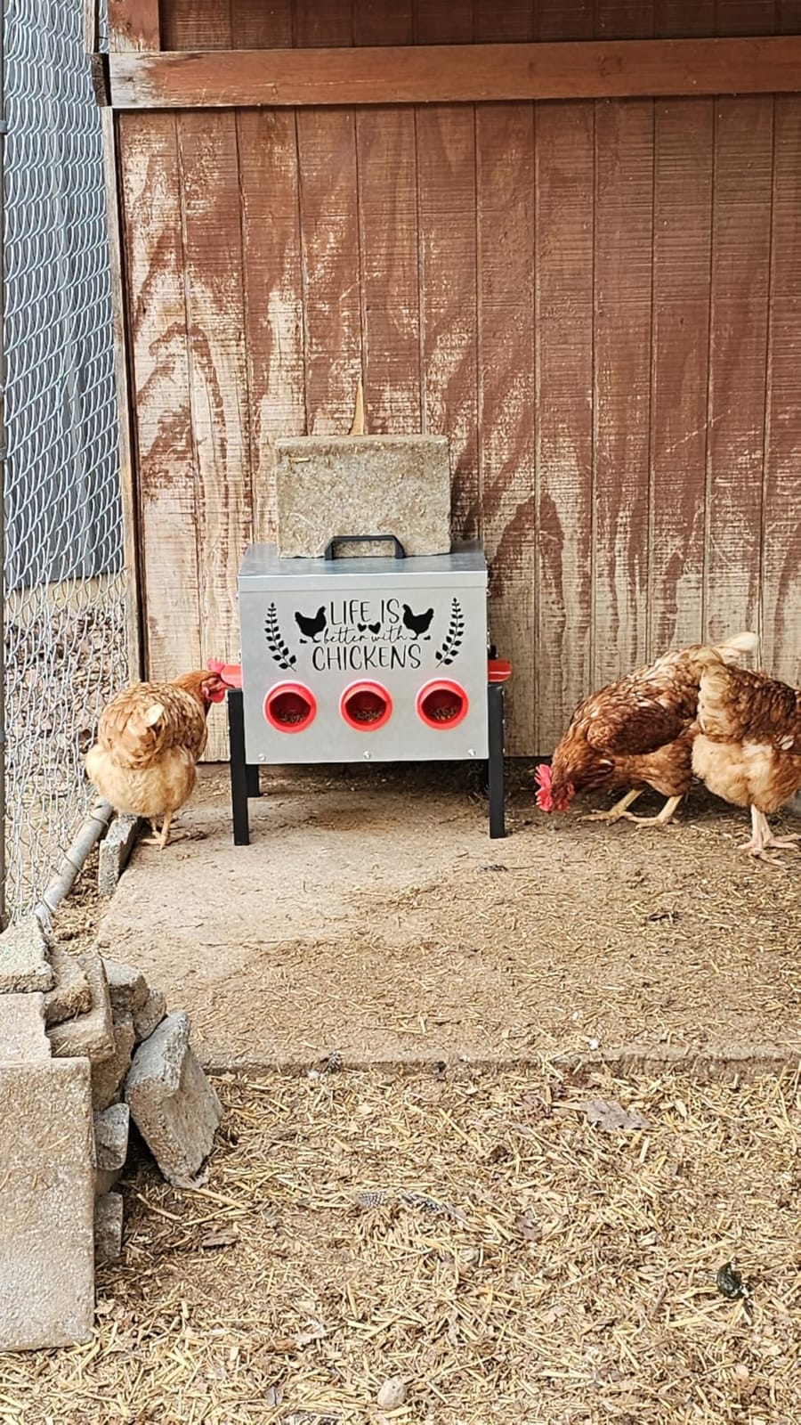 ‎Tgeyd 50LB Large Automatic Chicken Feeder - 8 Feeding Ports, No-Waste Poultry Feeder, with Adjustable Legs & Locking Lid customer photo 1
