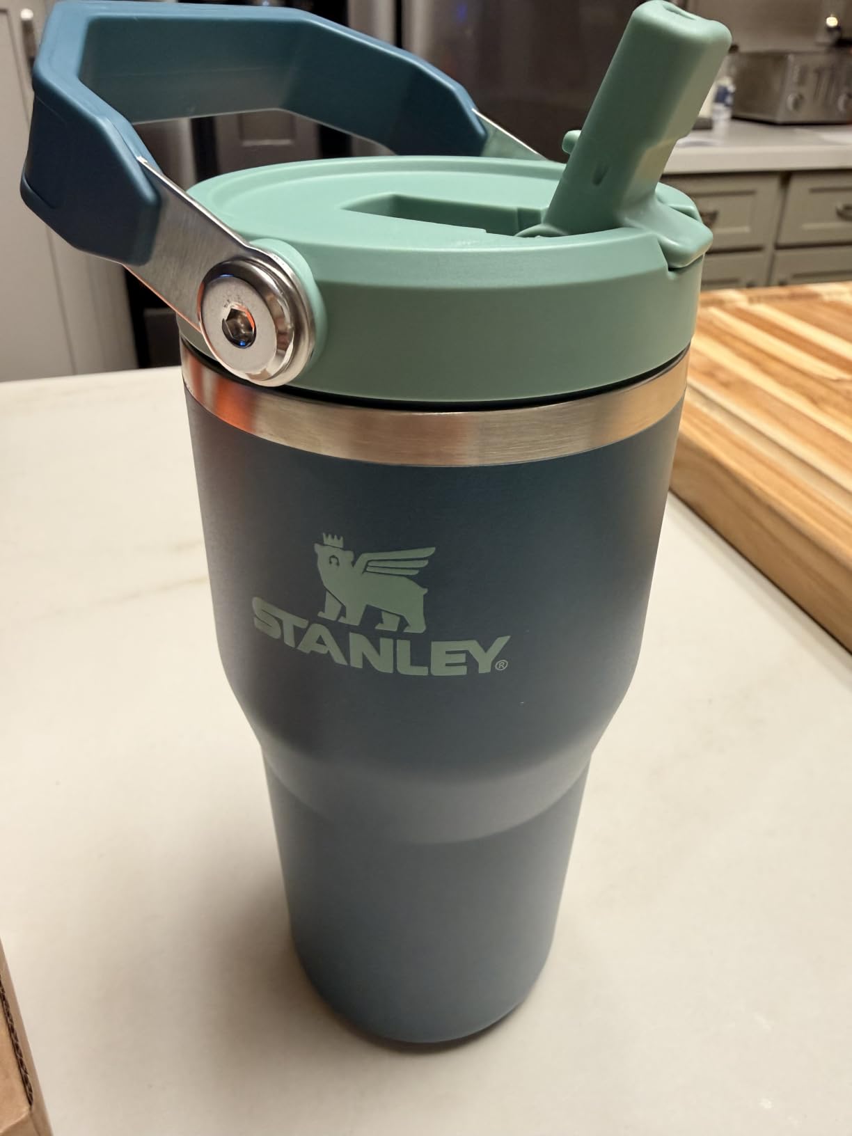 STANLEY IceFlow 2.0 Flip Straw Tumbler, 30 oz, Ash customer photo 1