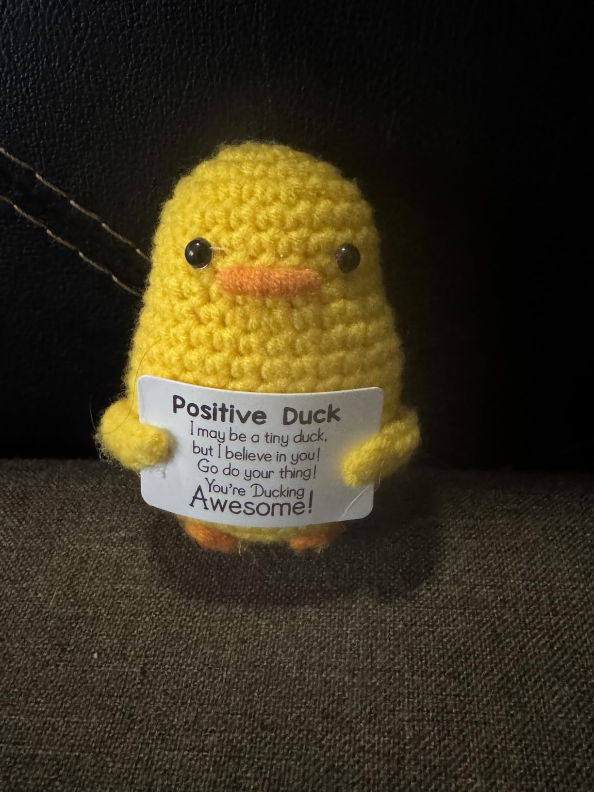 MBL Gifts for Brother Birthday from Sister - Funny Small Cute Cool Motivational Positive Crochet Duck Christmas Brother Gifts customer photo 2