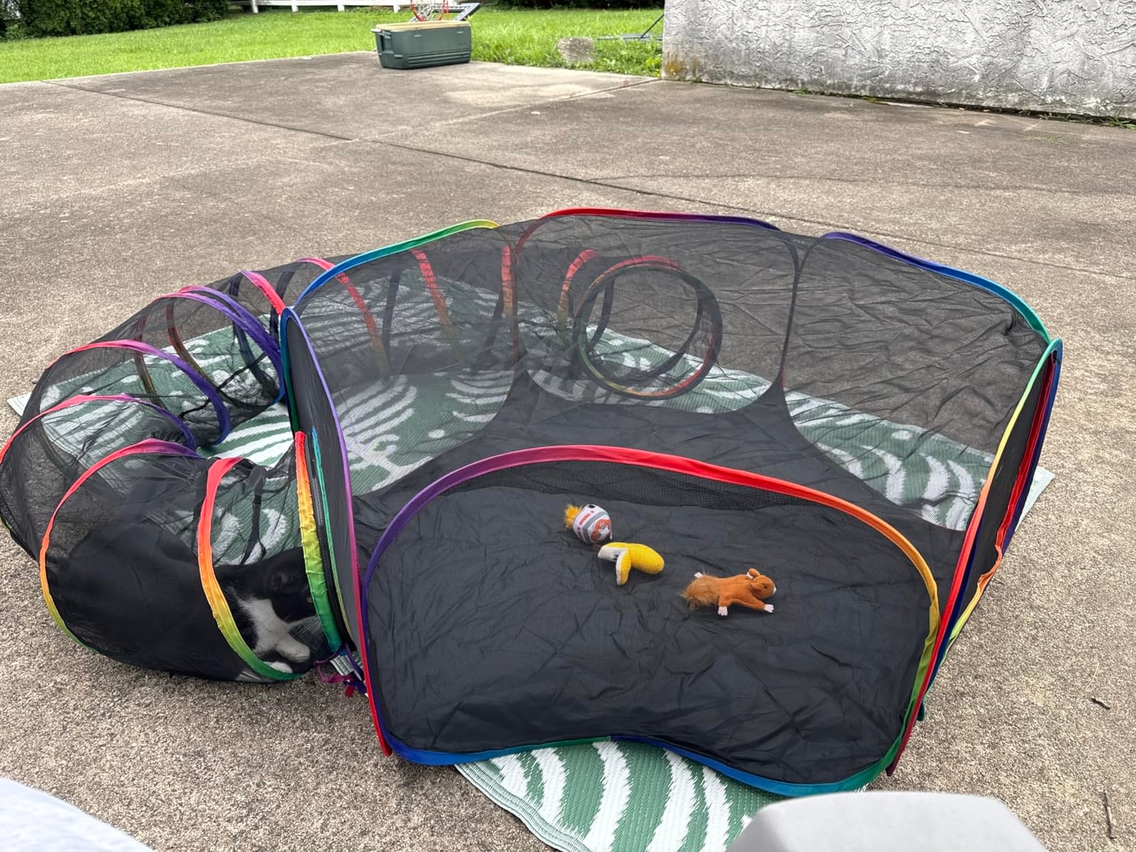 Outdoor Cat Enclosure, 2-in-1 Pop-up Portable Catio Playground | Foldable Cat Playpen with Tent & Tunnel, Breathable Mesh, Waterproof Bottom, Carry Bag, Outside and Indoor Use for Small Pets customer photo 2