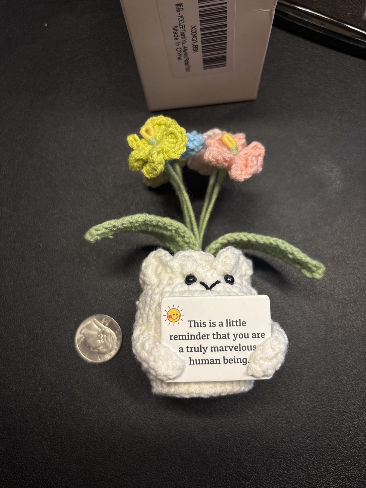 YOOJEE Forget-Me-Not Crochet Flower Potted Plant Gift | Difference You Make Gift, PET Display Box, Teacher Appreciation, Coworker, Employee, Thank You Gift, Handmade Desk Decor customer photo 1
