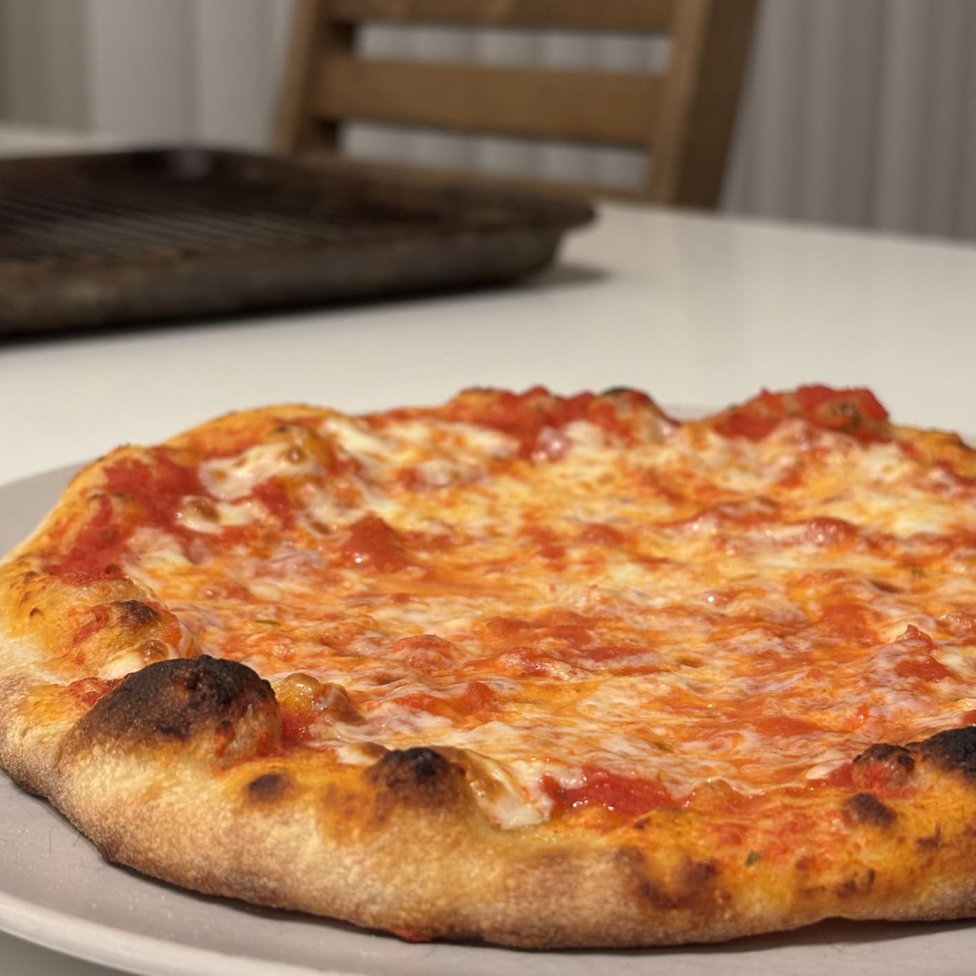 BIG HORN 14-Inch Indoor Pizza Oven, 850°F High-Heat Electric Countertop Pizza Oven for Restaurant-Style Artisan Pizza with Pizza Stone and Pizza Peel, PID Precision Temperature Control customer photo 1