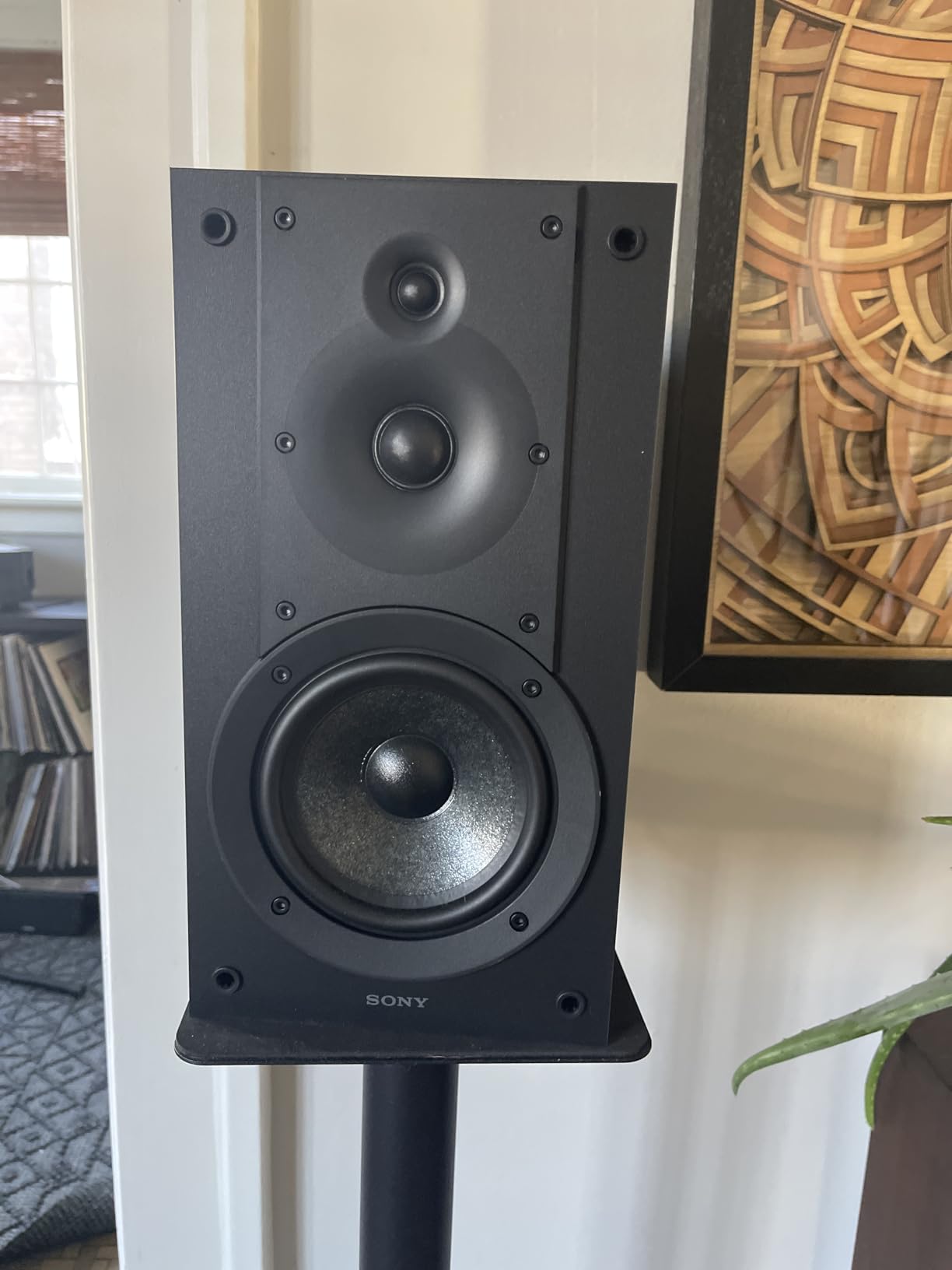 Sony SS-CS5M2 3-Way 3-Driver Hi-Res Compact Bookshelf Speakers (Pair) customer photo 2