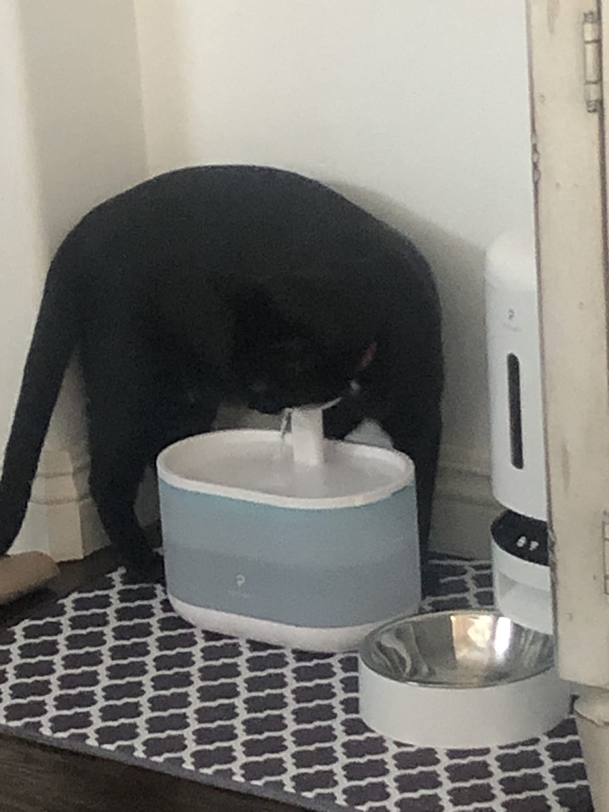 PETLIBRO Upgrade Cat Water Fountain Stainless Steel Tray, Dockstream 2 Cat Fountain Indoor, 3L/101oz Auto Cat Fountains for Drinking, App Monitoring Pet Water Fountain Dog, 5G WiFi Cat Water Dispenser customer photo 1