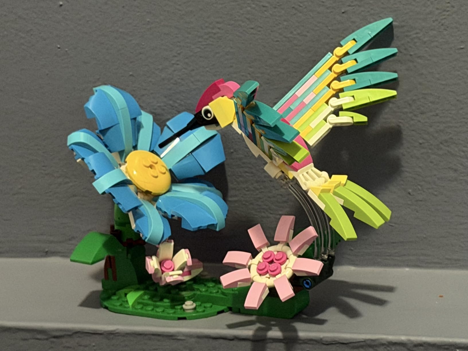 LEGO Creator 3 in 1 Wild Animals: Colorful Hummingbird Building Toy for Girls, Boys, & Kids, Ages 8+ - Build a Bird, Butterfly, or Tropical Fish - Gift Idea for Birthdays - 31384 customer photo 2