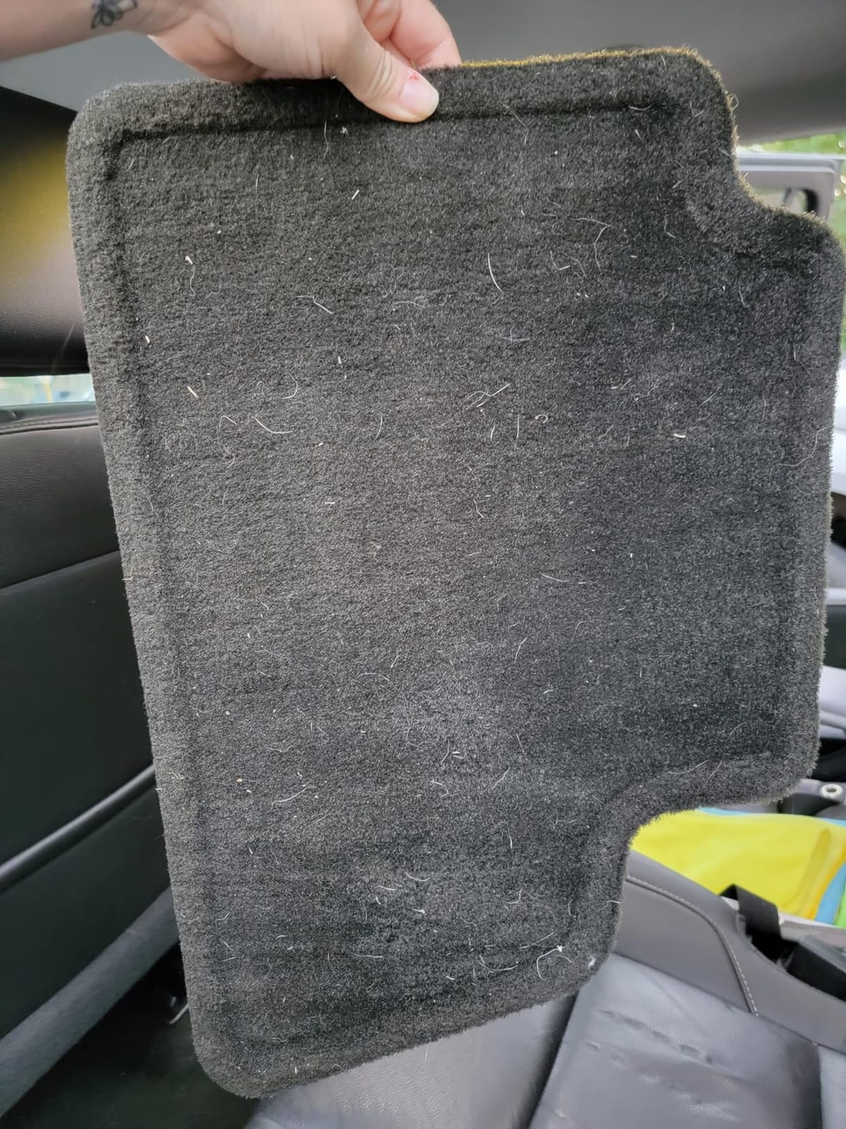 Shark EveryMess 3-in-1 Wet/Dry Vac & Stain Eliminator, VX101 customer photo 1
