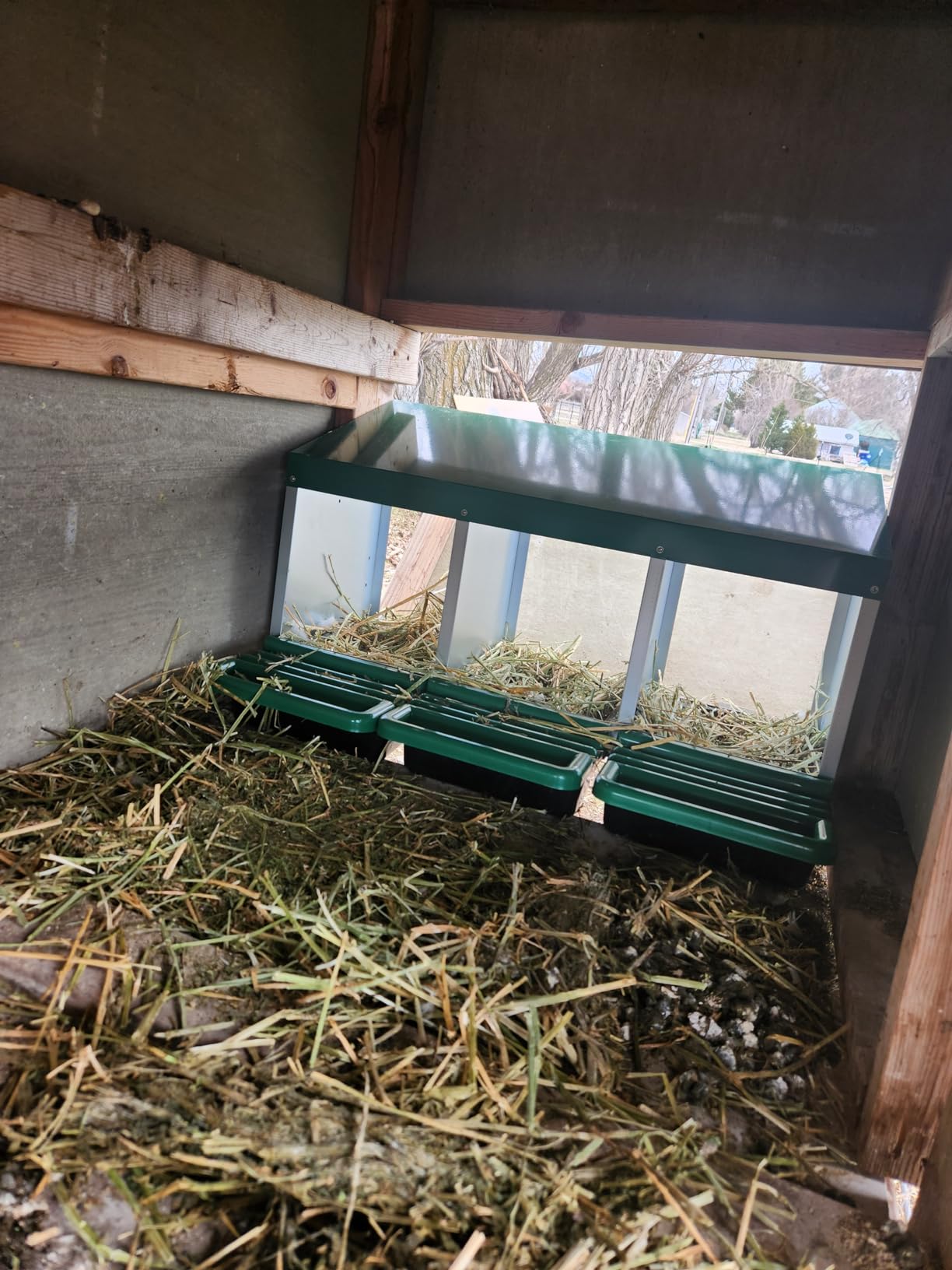Eggluuz Chicken Nesting Box, 6 Compartments Egg Laying Nests Boxes for Hens customer photo 1