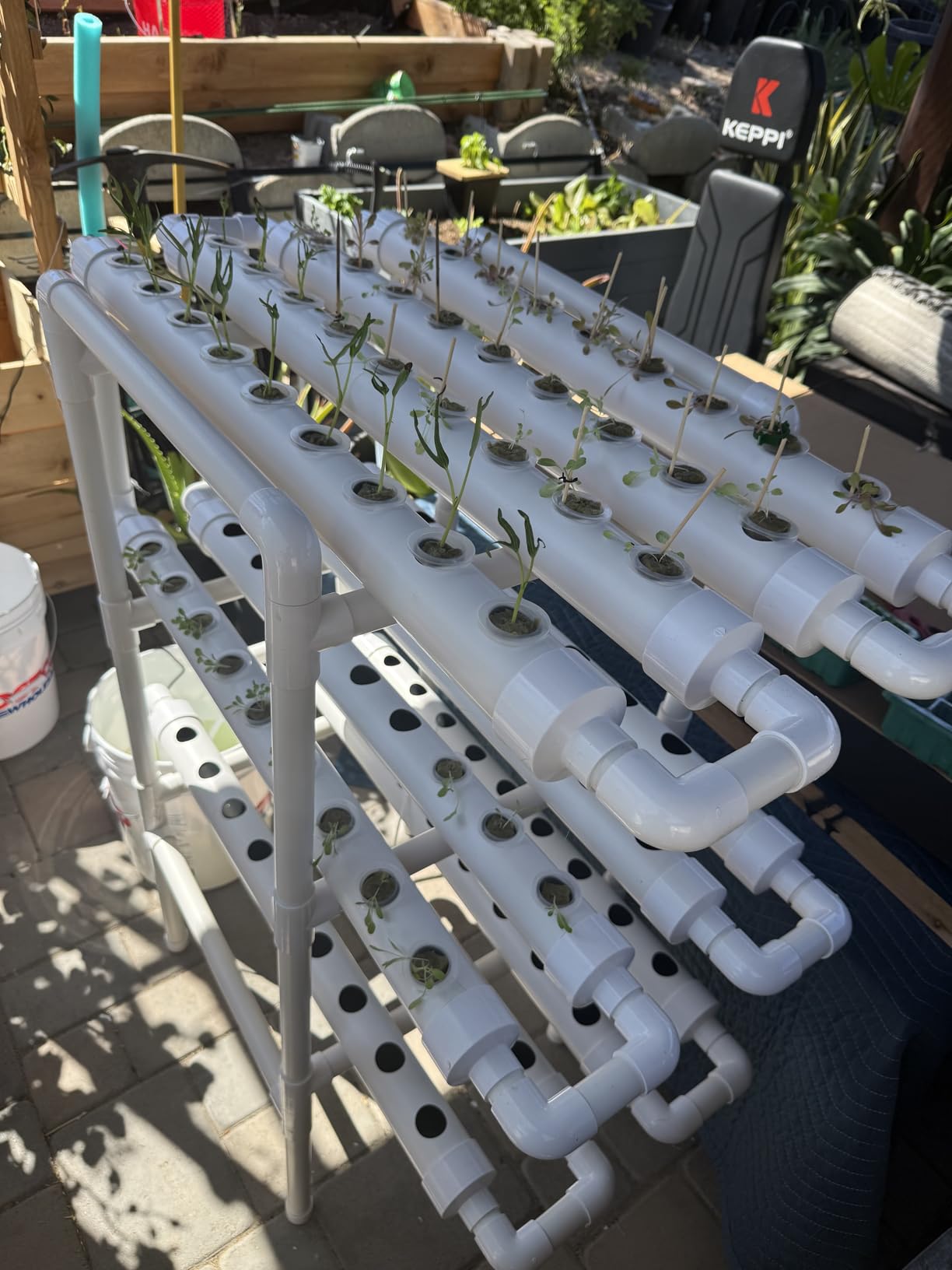 VEVOR Hydroponics Growing System Kit, 3-Tier 108 Sites UPVC Pipe Hydroponic Grow Kit with Timed Irrigation, Sun & Light Blocking Pipes, Indoor Home Garden Vegetable Planting Grow Kits for Fruit Herb customer photo 2