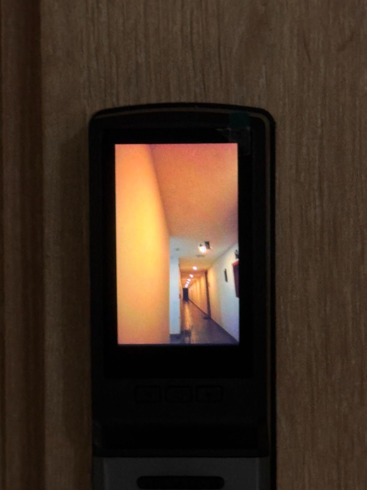 3D Face Recognition Smart Lock with Camera, Palm Vein Keyless Entry | 8-in-1 fingerprint front door lock with handle, video doorbell, 2-way talk, Tuya app, mortise lock, IP67 and loitering alarm customer photo 1