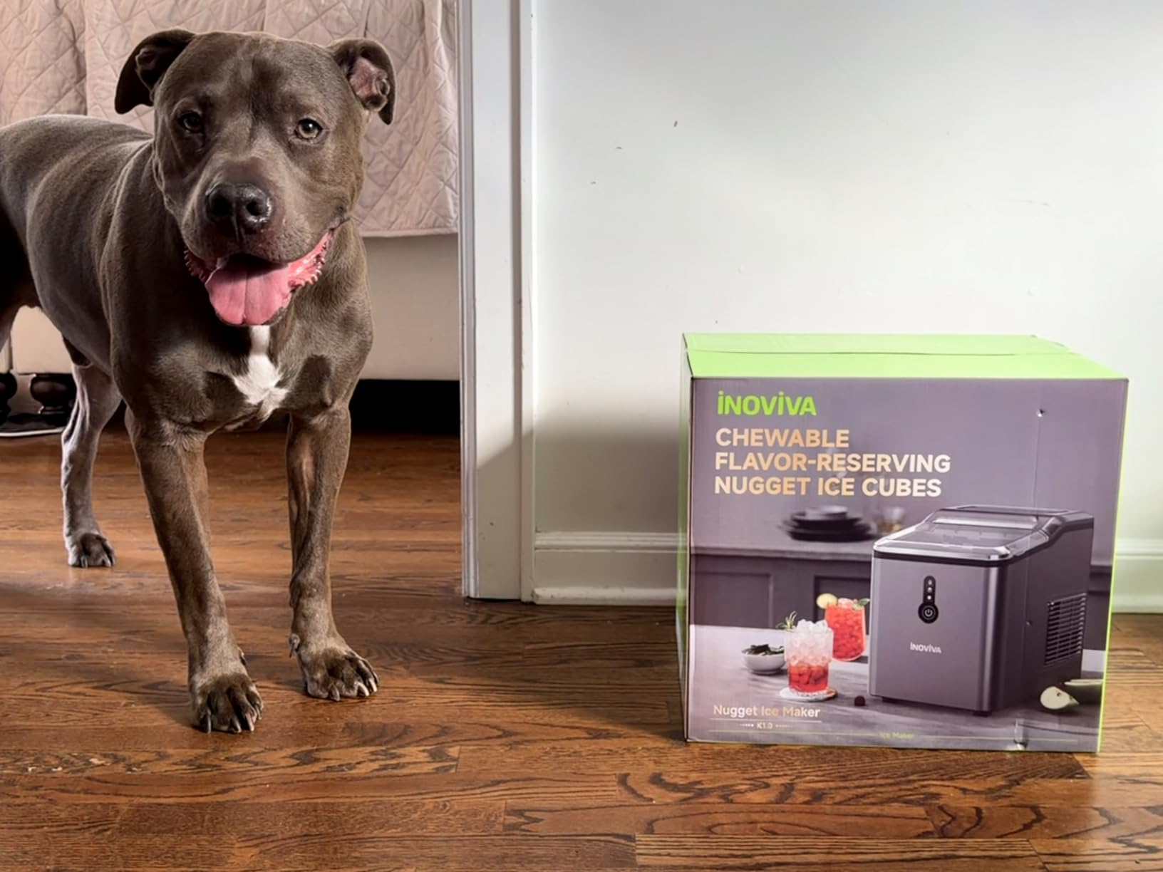 INOVIVA Nugget Ice Makers Countertop - 6 Mins Fast Ice Production, FLASHCHILL™, 26.5 LBS/Day, Self-Cleaning, Compact Portable Design, Ideal for Home, Office & Parties customer photo 1