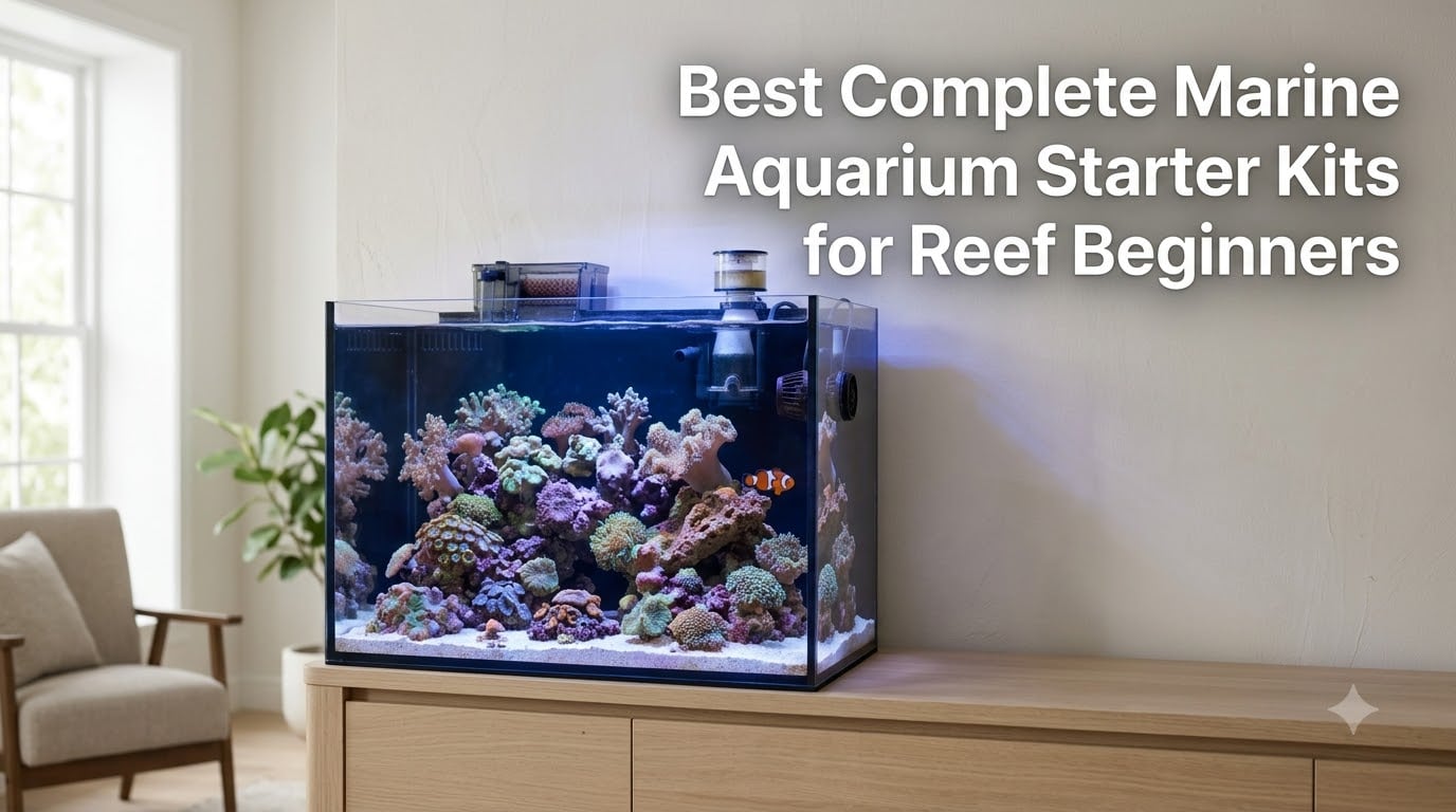 Best Complete Marine Aquarium Starter Kits for Reef Beginners