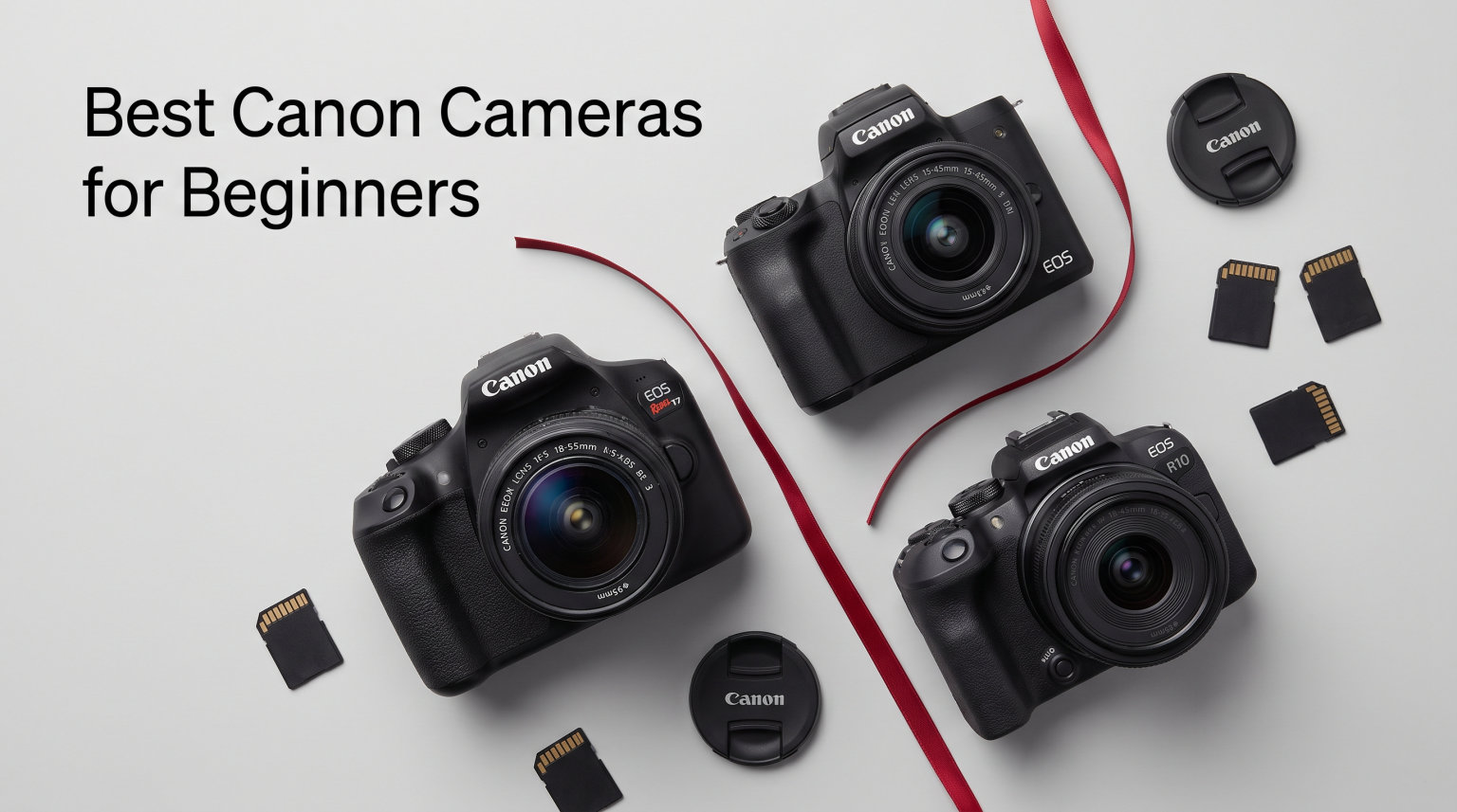 Best Canon Cameras for Beginners
