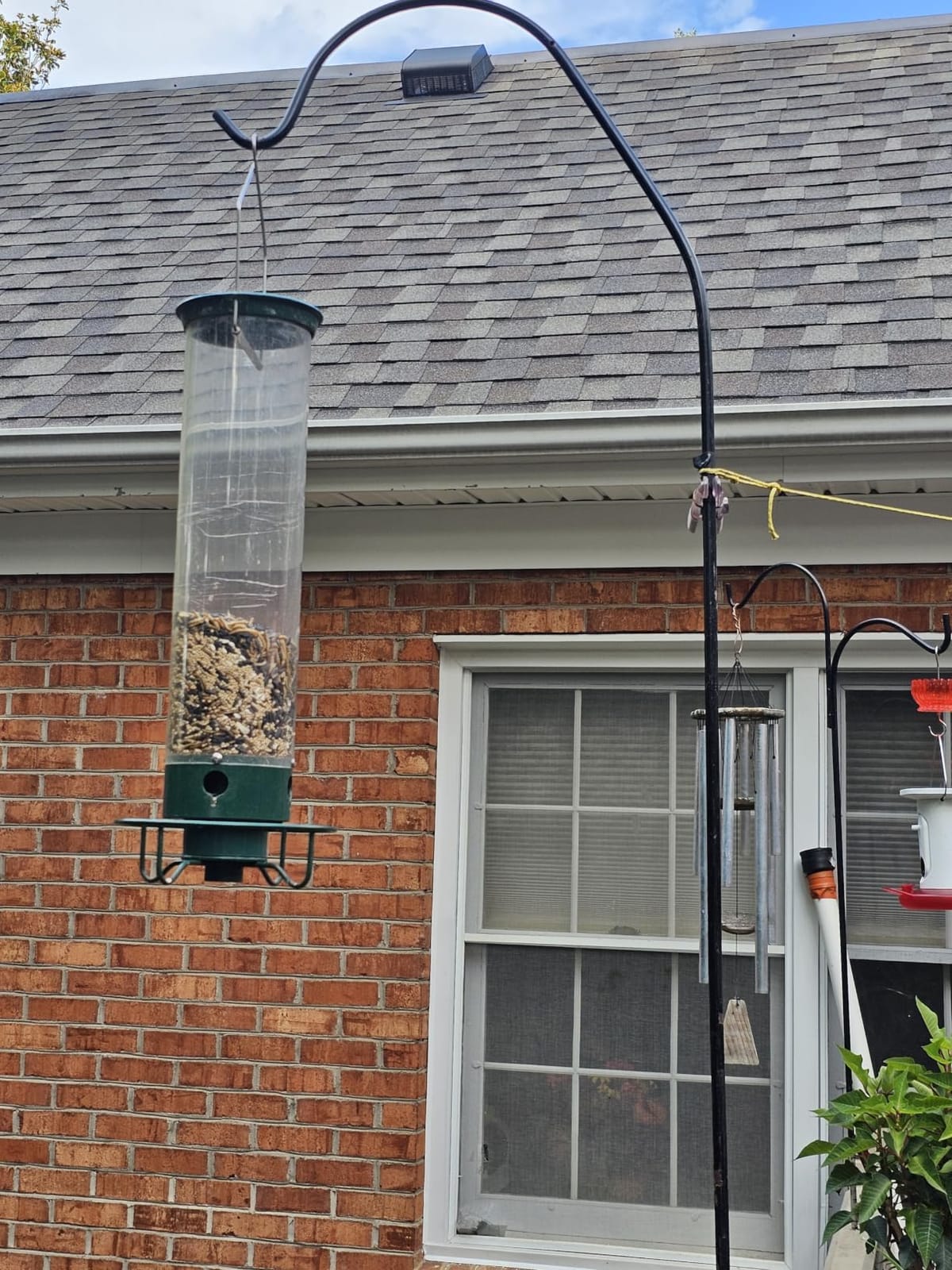 Droll Yankees Squirrel Proof Bird Feeder for Outdoors, 5 lb Seed Capacity customer photo 1