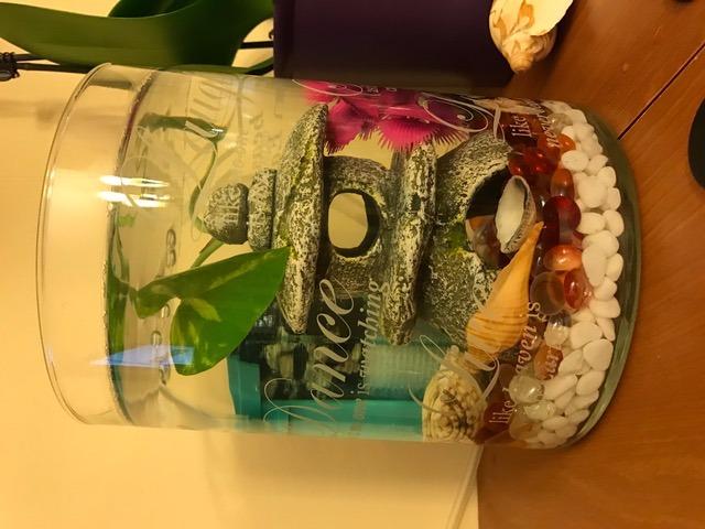 Penn-Plax Small World Aquarium Filter - Comes with a Disposable Media - Safe for Freshwater and Saltwater Setups (SWF1) customer photo 2