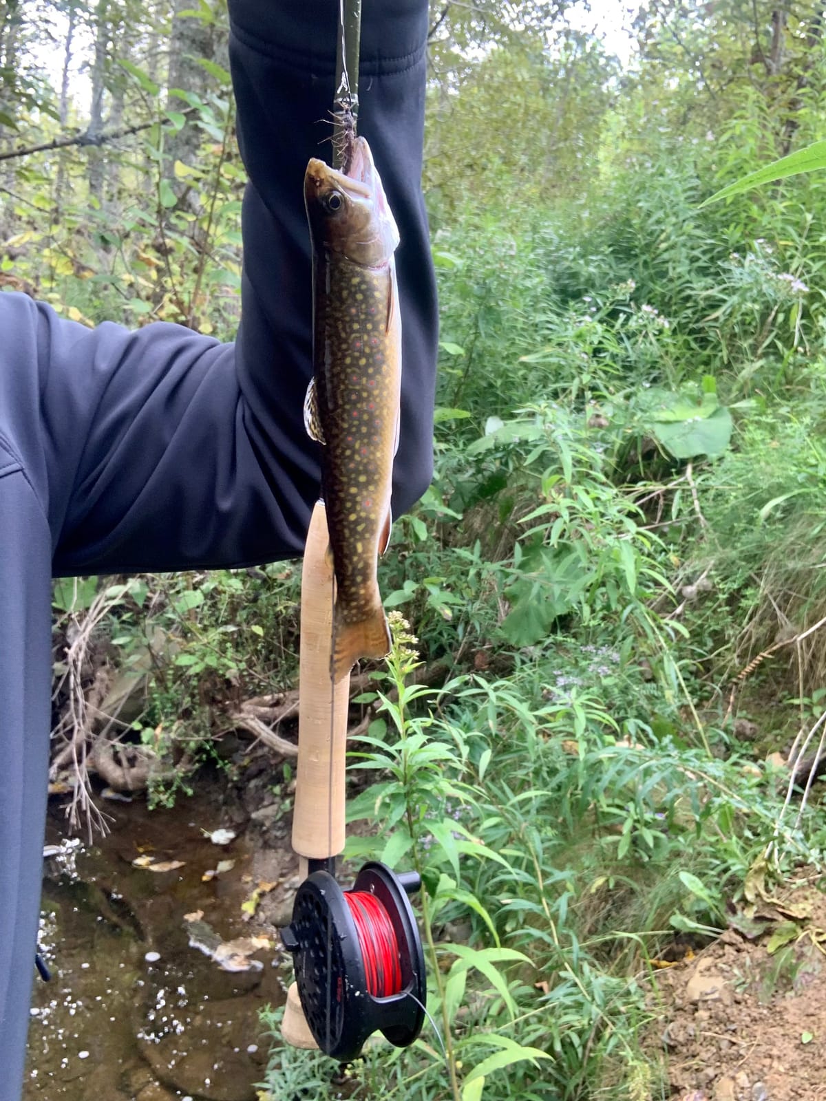 Okuma Sierra Diecast Aluminum Fly Reel customer photo 1