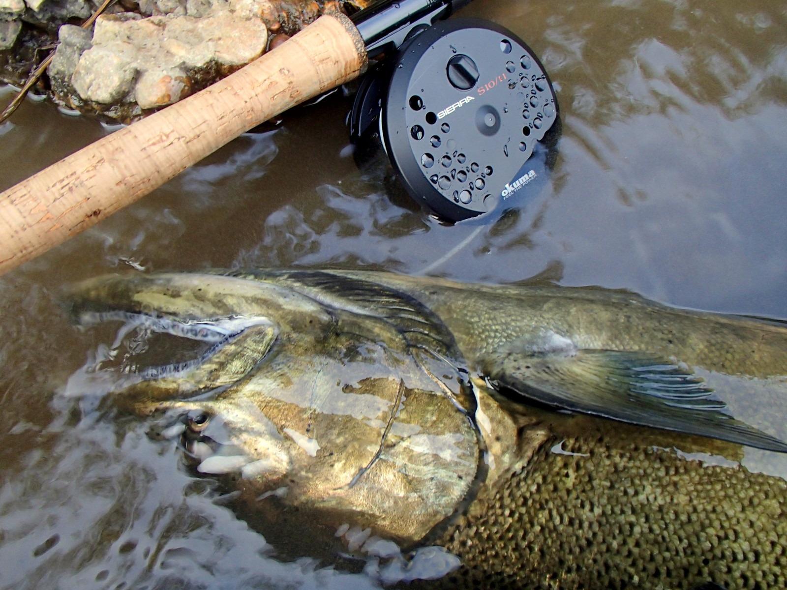 Okuma Sierra Diecast Aluminum Fly Reel customer photo 2