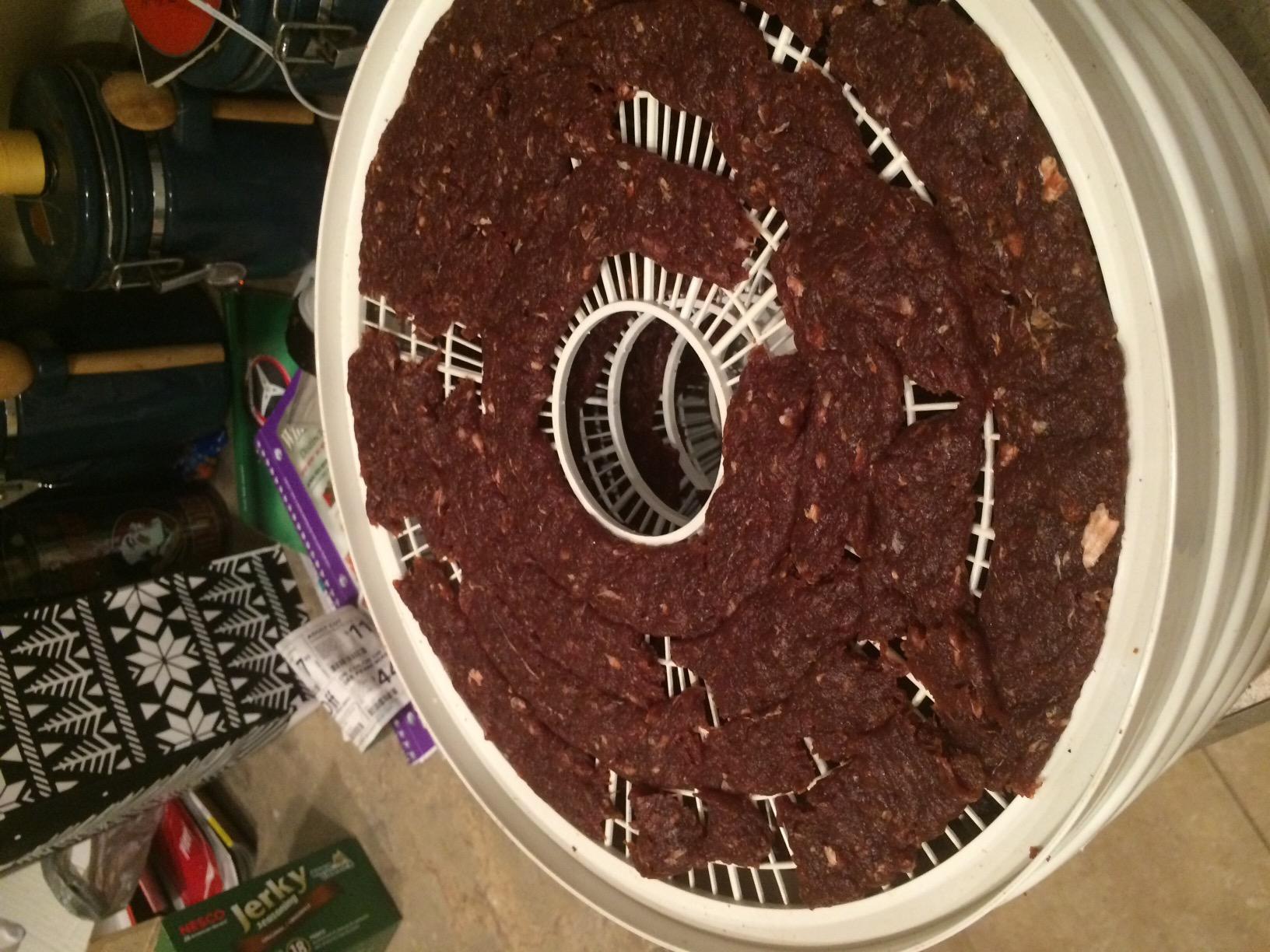 Nesco FD-28JX JerkyXpress Food Dehydrator with Accessories for Beef Jerky, 4 Trays, White customer photo 1