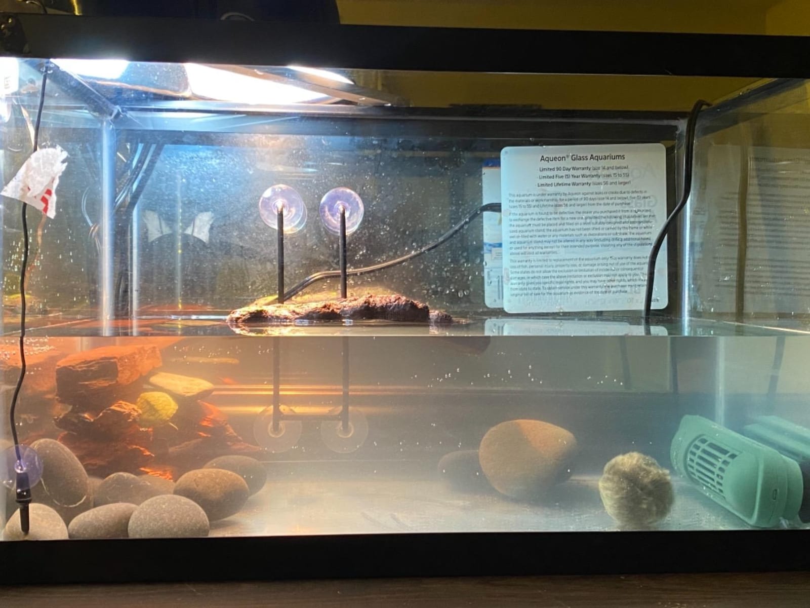 TetraFauna Aquatic Reptile Heater 100 Watts, For Frogs, Newts And Turtles, Green customer photo 2