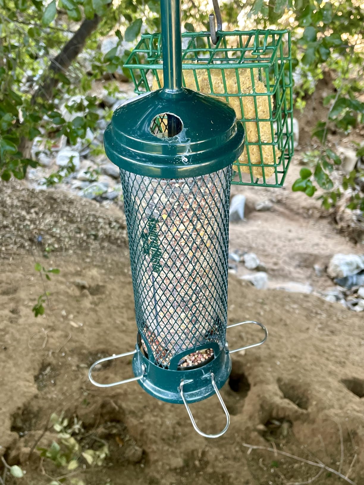 Squirrel Buster Mini Squirrel-Proof Bird Feeder for Wild Birds – 4 Metal Perches, 1 lb Seed Capacity, Chew-Proof Design, Lifetime Care, Garden Green customer photo 2