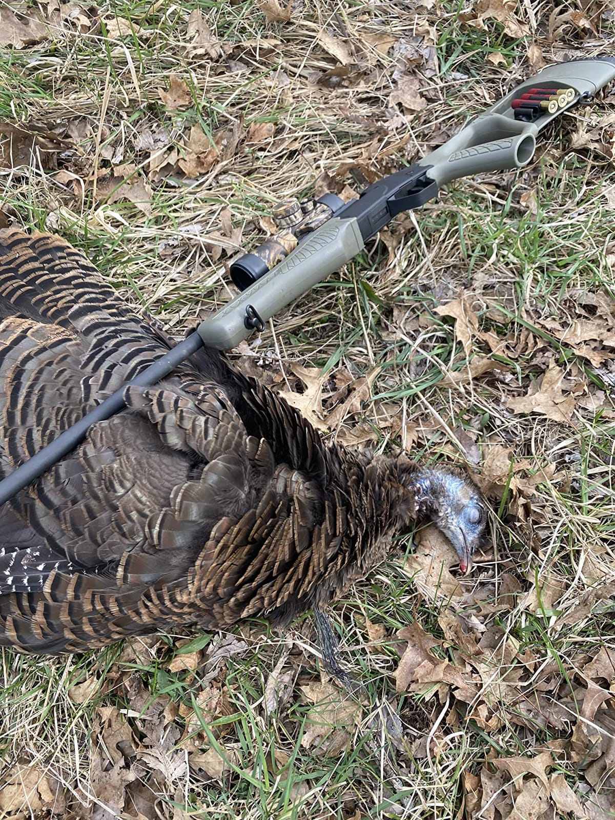 Truglo Gobble Stopper 30MM Turkey Sight for Hunting, 3MOA customer photo 2
