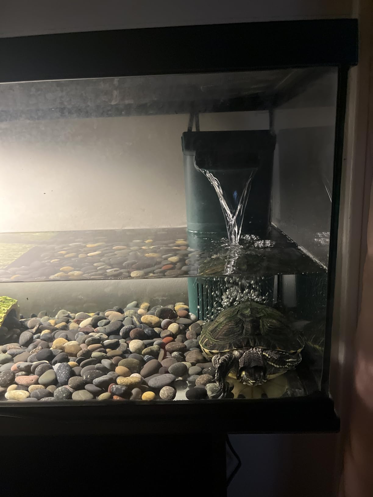 Tetra ReptoFilter Terrarium Filter, 125 GPH | For Waterfalls and Turtle, Newt & Frog Terrariums Up To 50 Gallons, 3-Stage Filtration Helps Keep Water Clear & Removes Odors customer photo 1