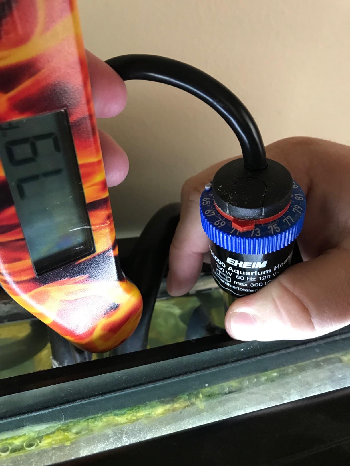 EHEIM Jager Aquarium Thermostat Heater 150W customer photo 2
