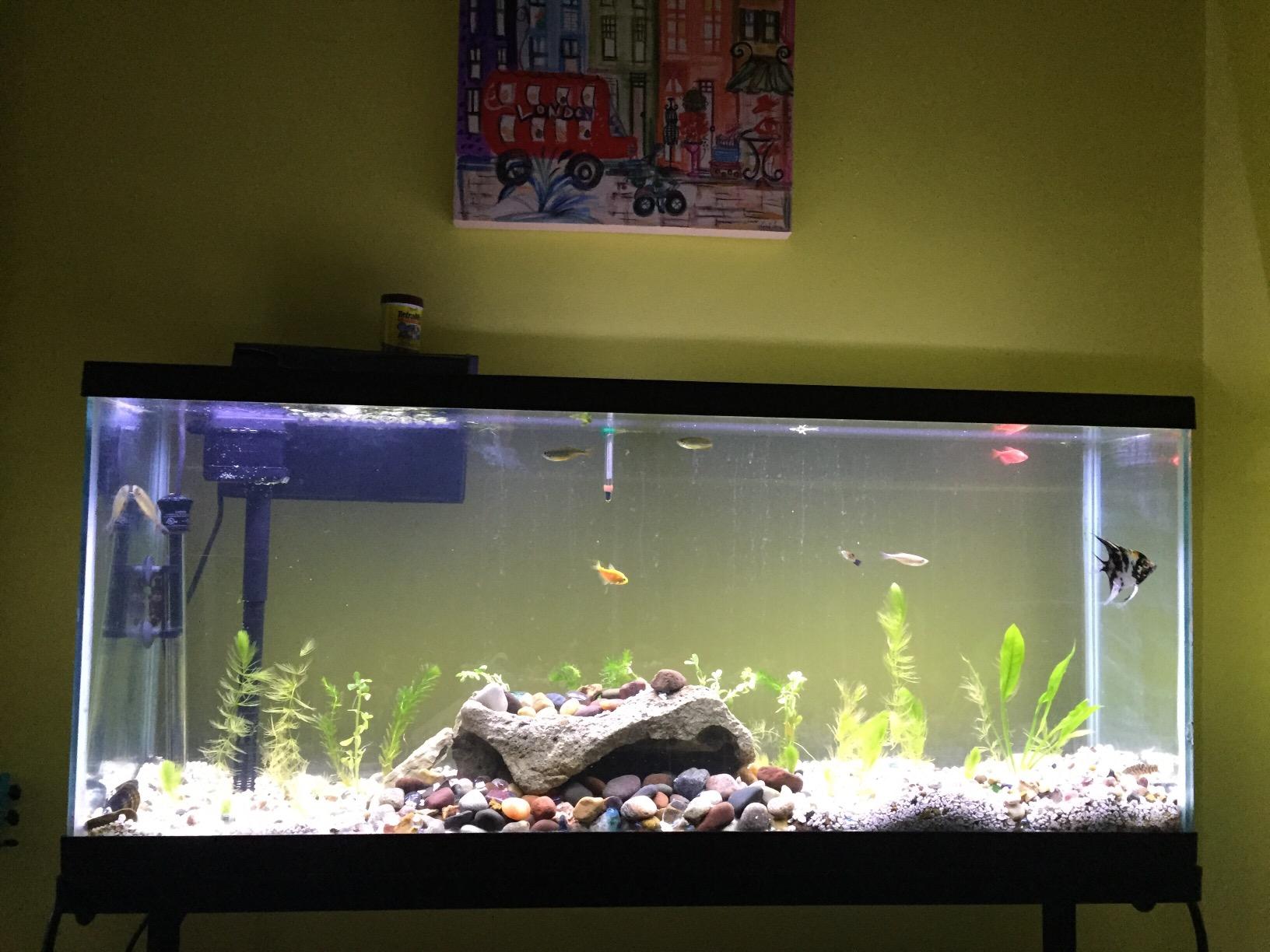Aqueon QuietFlow 75 LED PRO Aquarium Fish Tank Power Filter, 90 Gal | 75 gallon fish tank filter with self-priming auto-restart, LED change indicator, mechanical, chemical, biological filtration customer photo 2