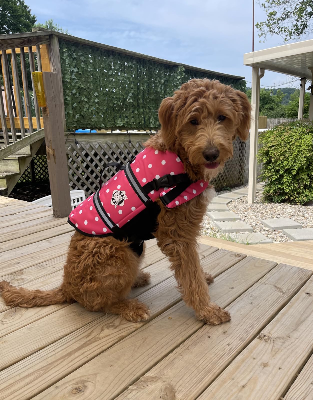 Dog Life Jacket - Swimming Vest for Dogs, Adjustable, Reflective, Comfortable, Multiple Colors, Patterns, XX-Small to Extra Large Dog Swim Vest with Handle (Red, Large) customer photo 1