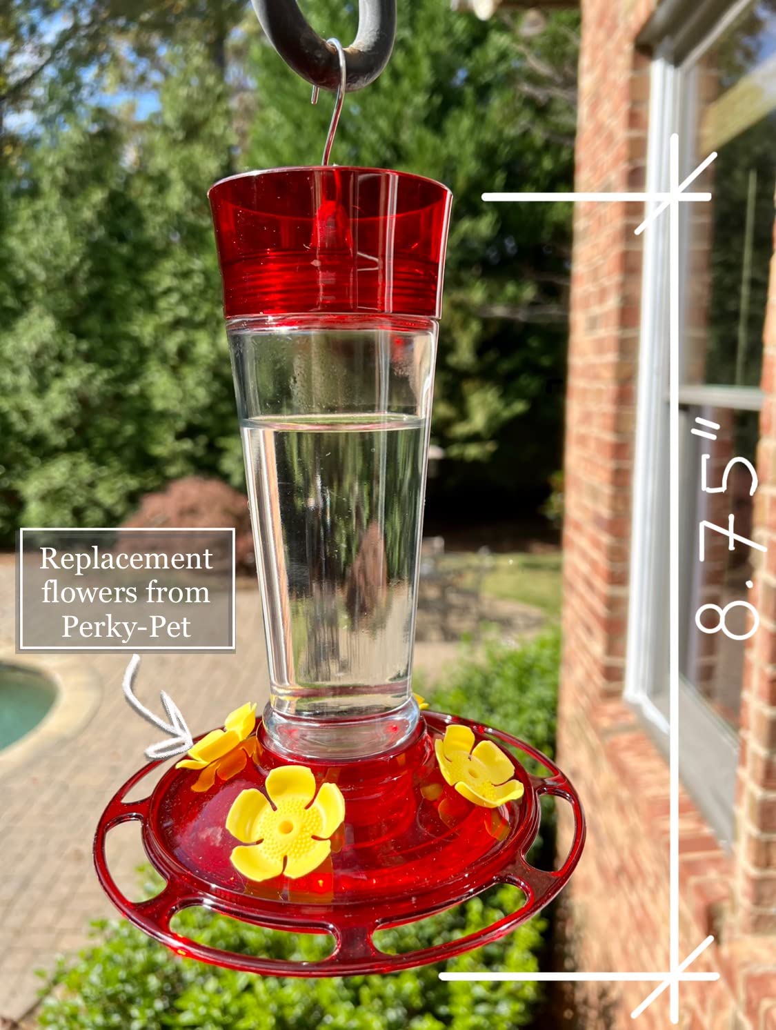 More Birds Bird Health+ Ruby Hummingbird Feeder, Glass Hummingbird Feeders for Outdoors, 4 Feeding Stations, 10 Ounces, Ruby Red customer photo 2