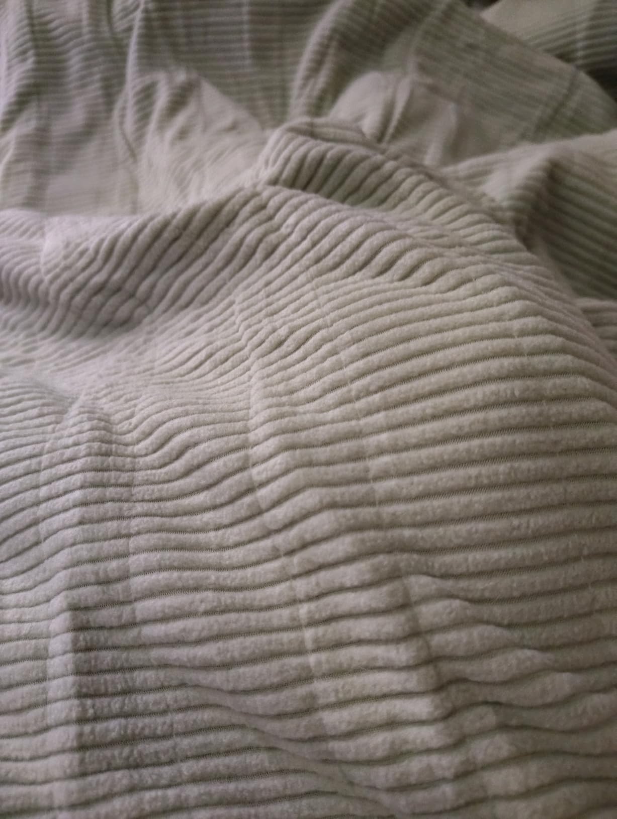 Beautyrest Heated Blanket Twin, Micro Fleece Electric Blanket, Ivory customer photo 2