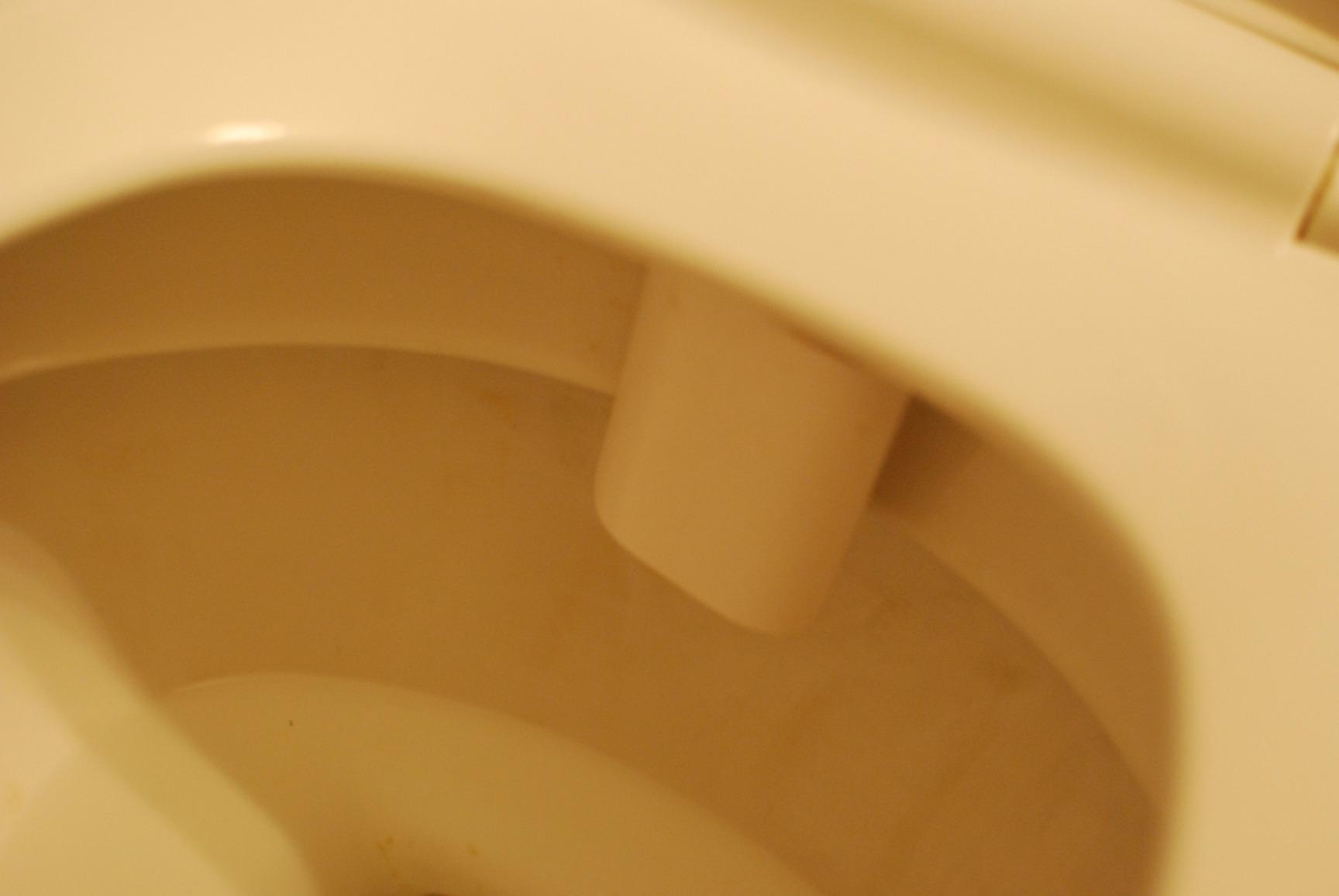 LUXE Bidet NEO 120 - Bidet Attachment for Toilet Seat, Blue customer photo 2
