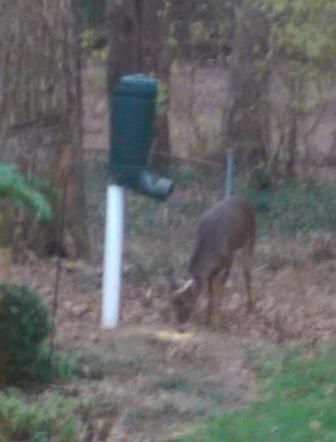 REDNEK Redneck Outdoors T-Post Gravity Feeder customer photo 2