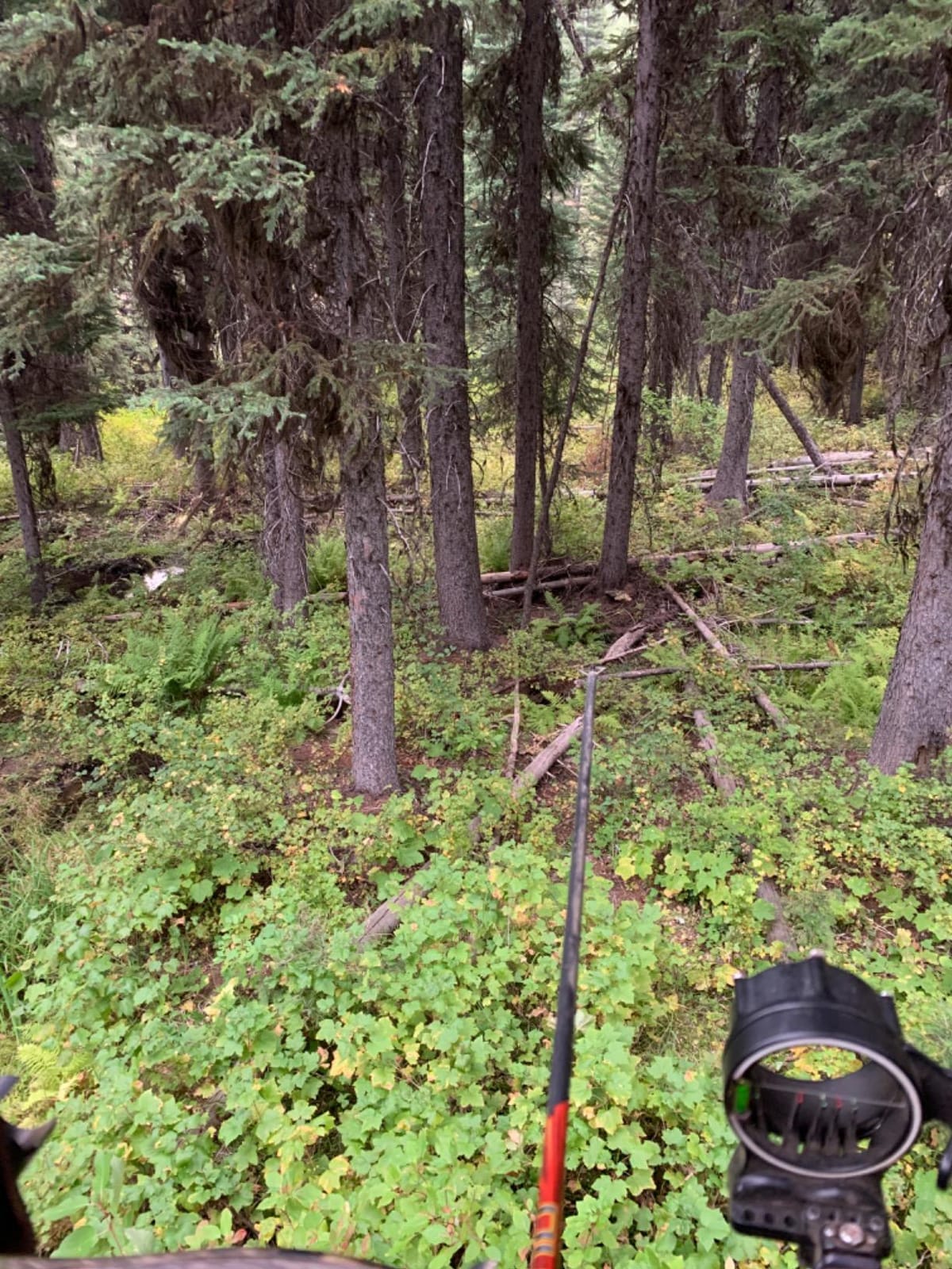 Summit Treestands Viper SD Climbing Treestand customer photo 1