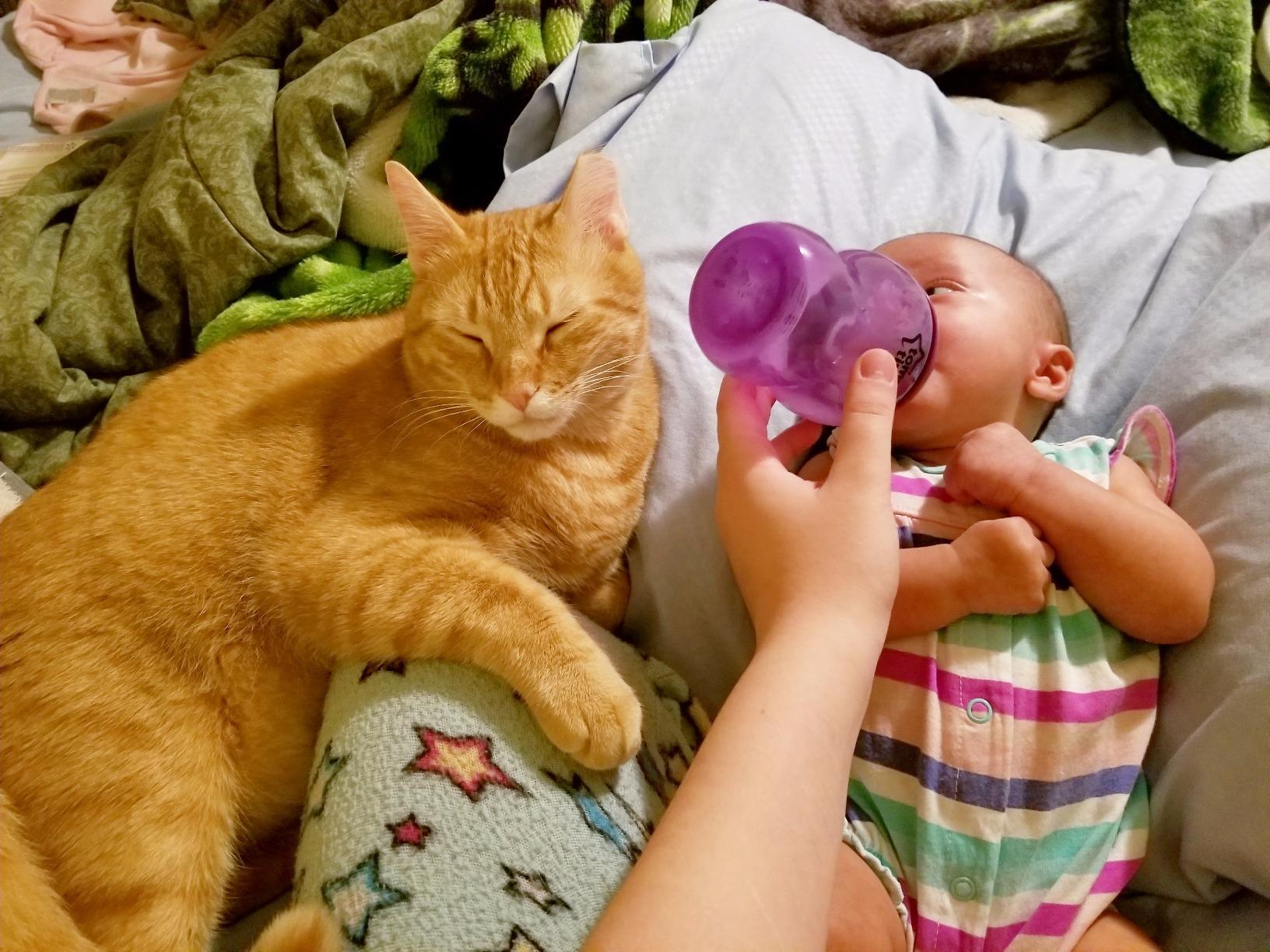 Tommee Tippee Natural Start Baby Bottles, Anti-Colic, 0m+, 9oz customer photo 2