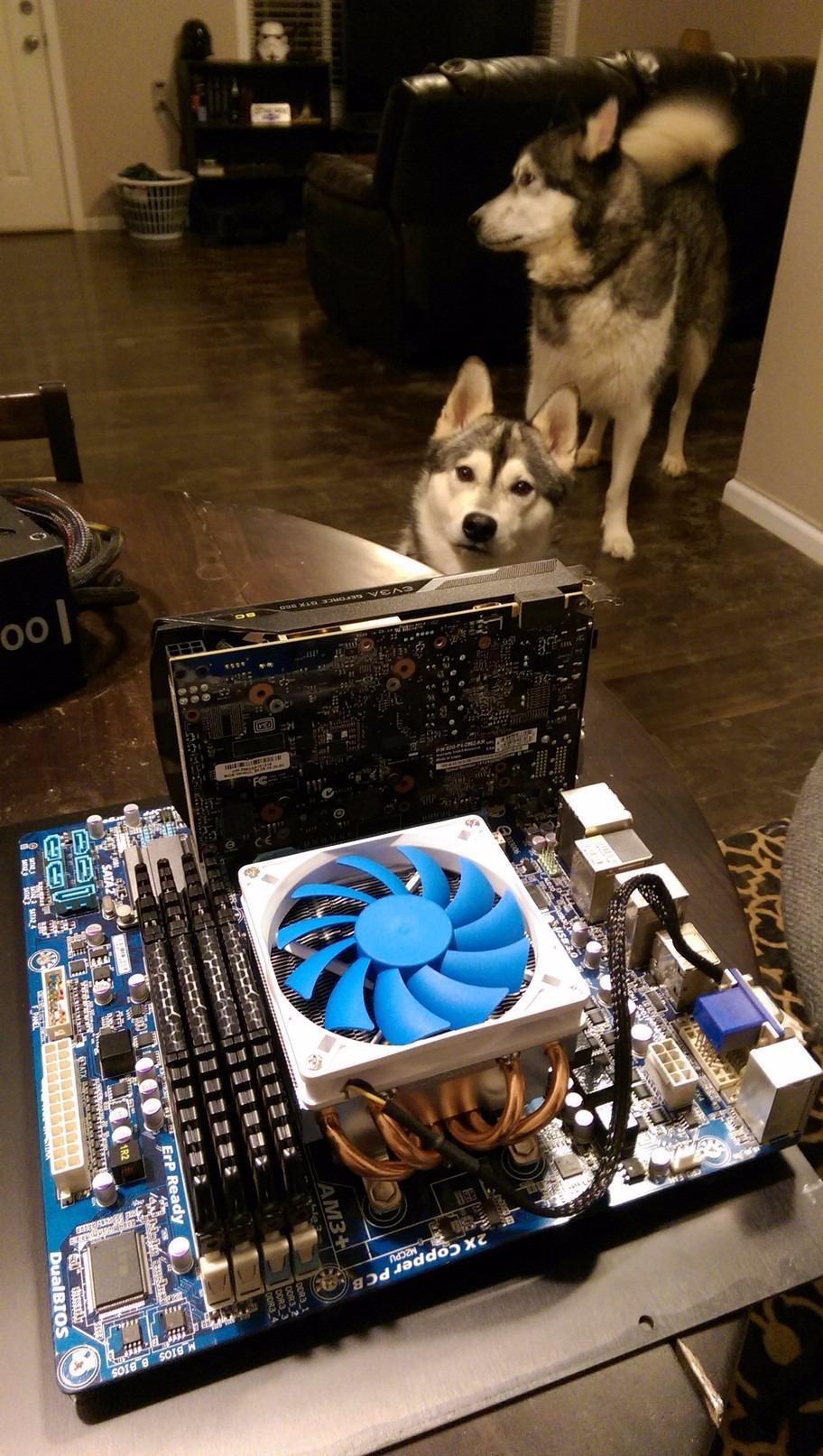 Silverstone Tek Low-Profile Heatsink CPU Cooler with 92mm PWM Fan, Four 6mm Heat Pipes, Intel LGA1155/1156/1150 and AMD AM2/AM3/FM1/FM2 AR06 customer photo 2